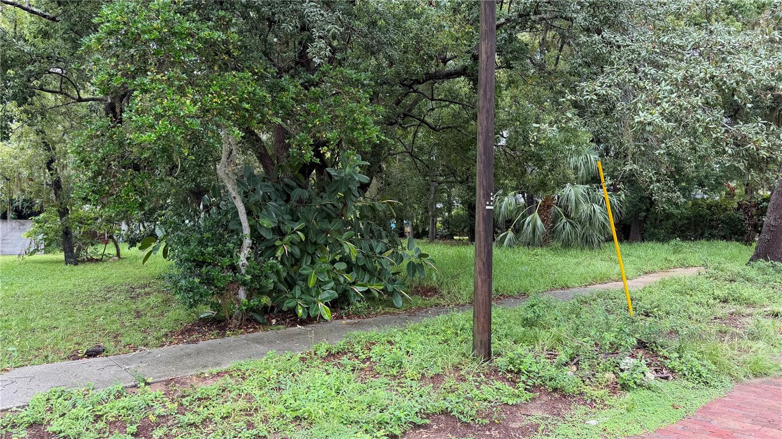 TALLAHASSEE DR
