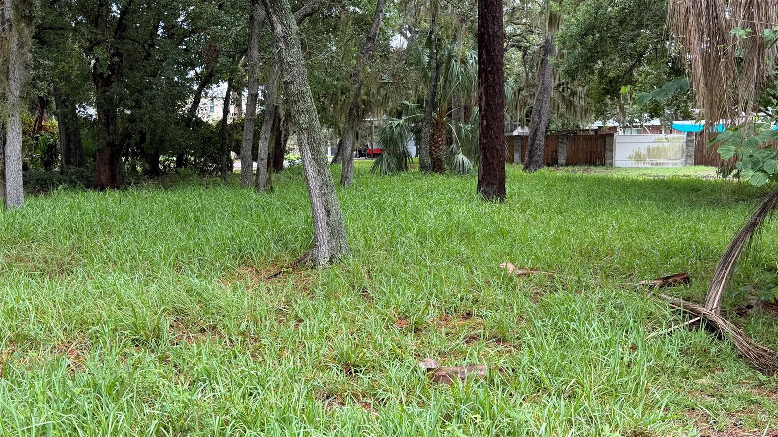 TALLAHASSEE DR