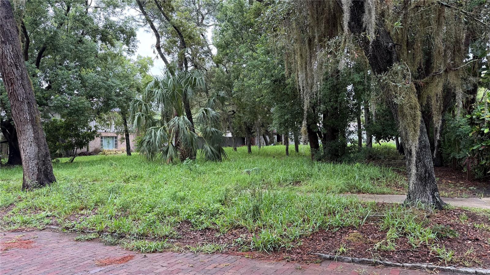TALLAHASSEE DR