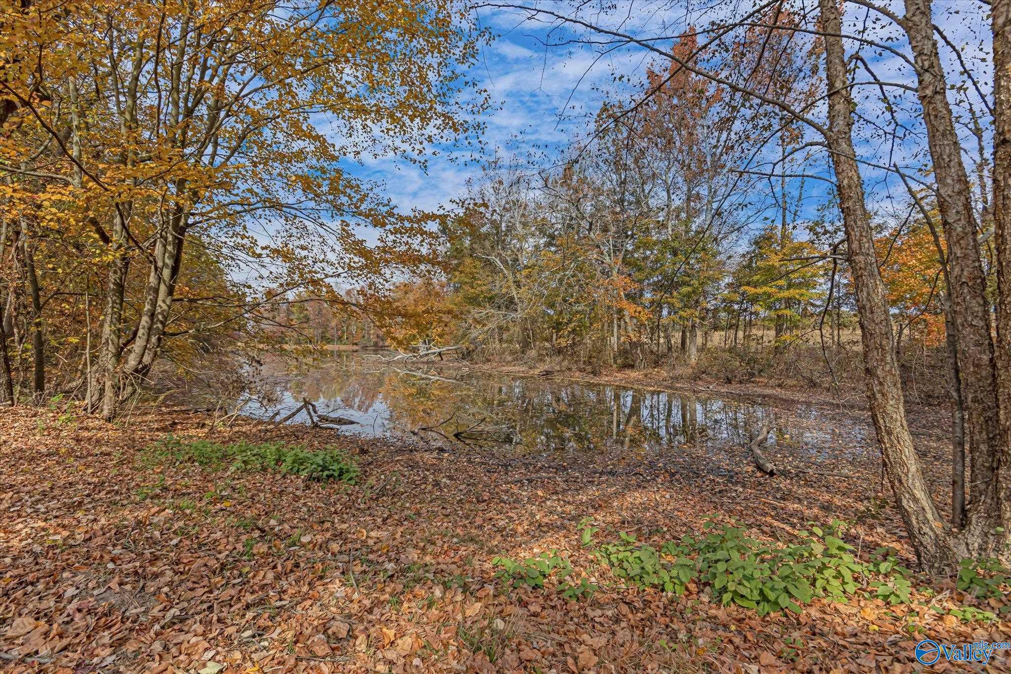 6538 County Road 26