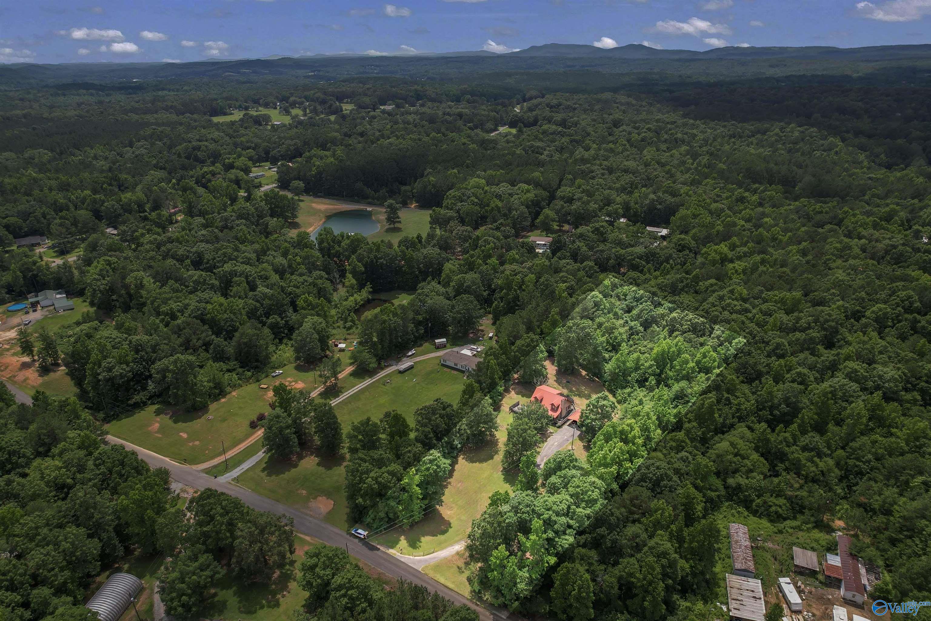 225 Oak Springs Drive
