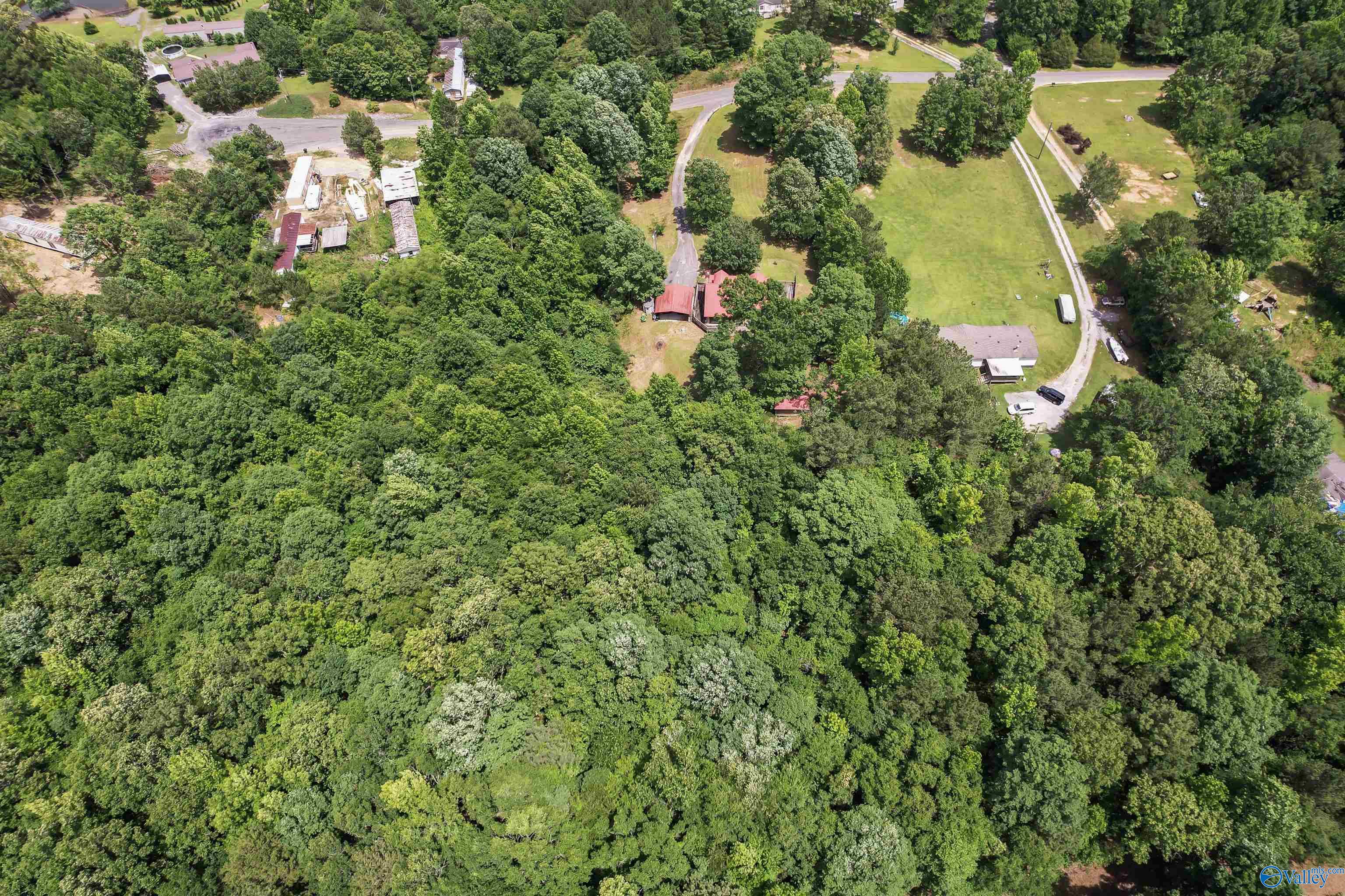 225 Oak Springs Drive