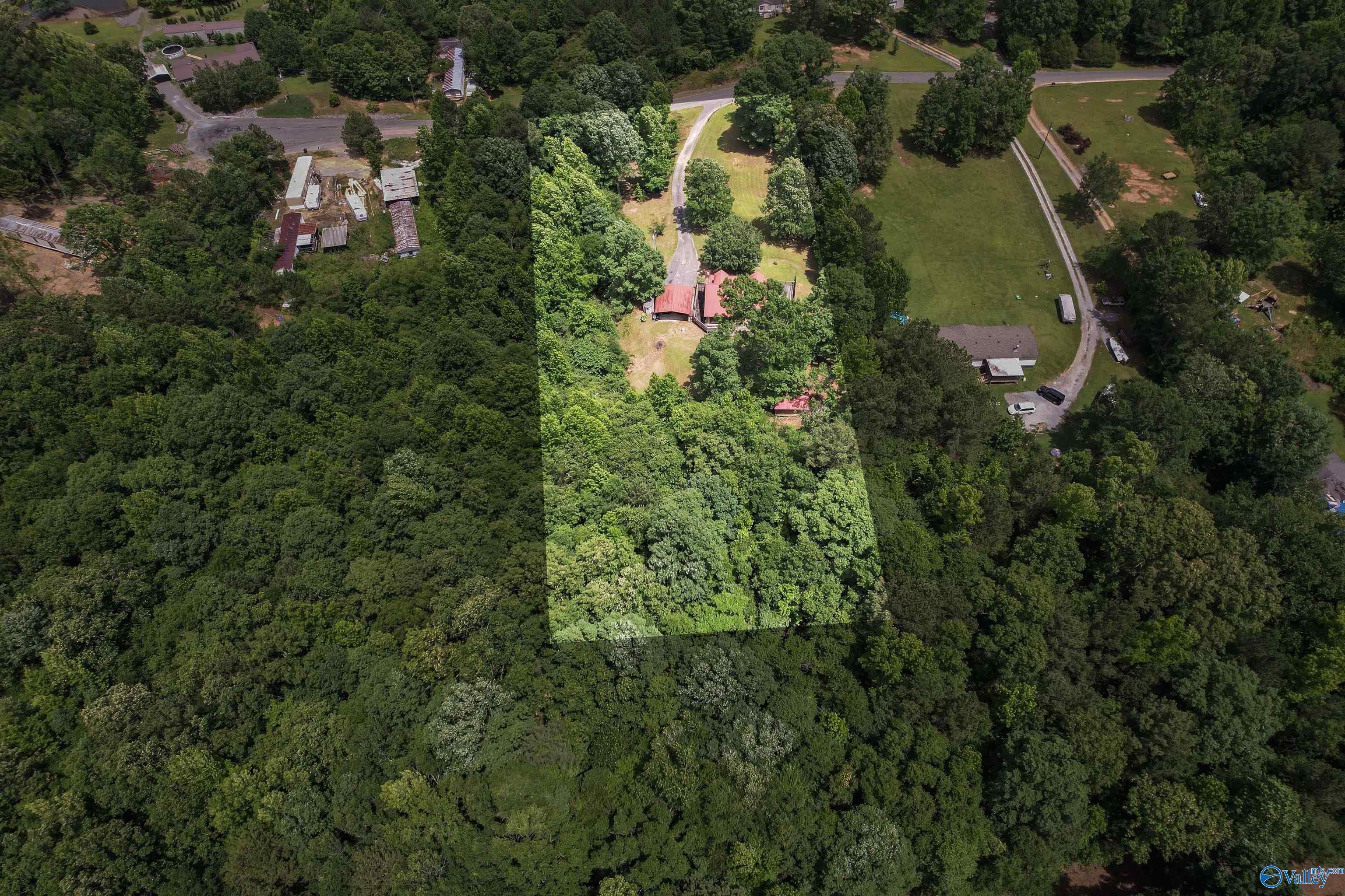 225 Oak Springs Drive