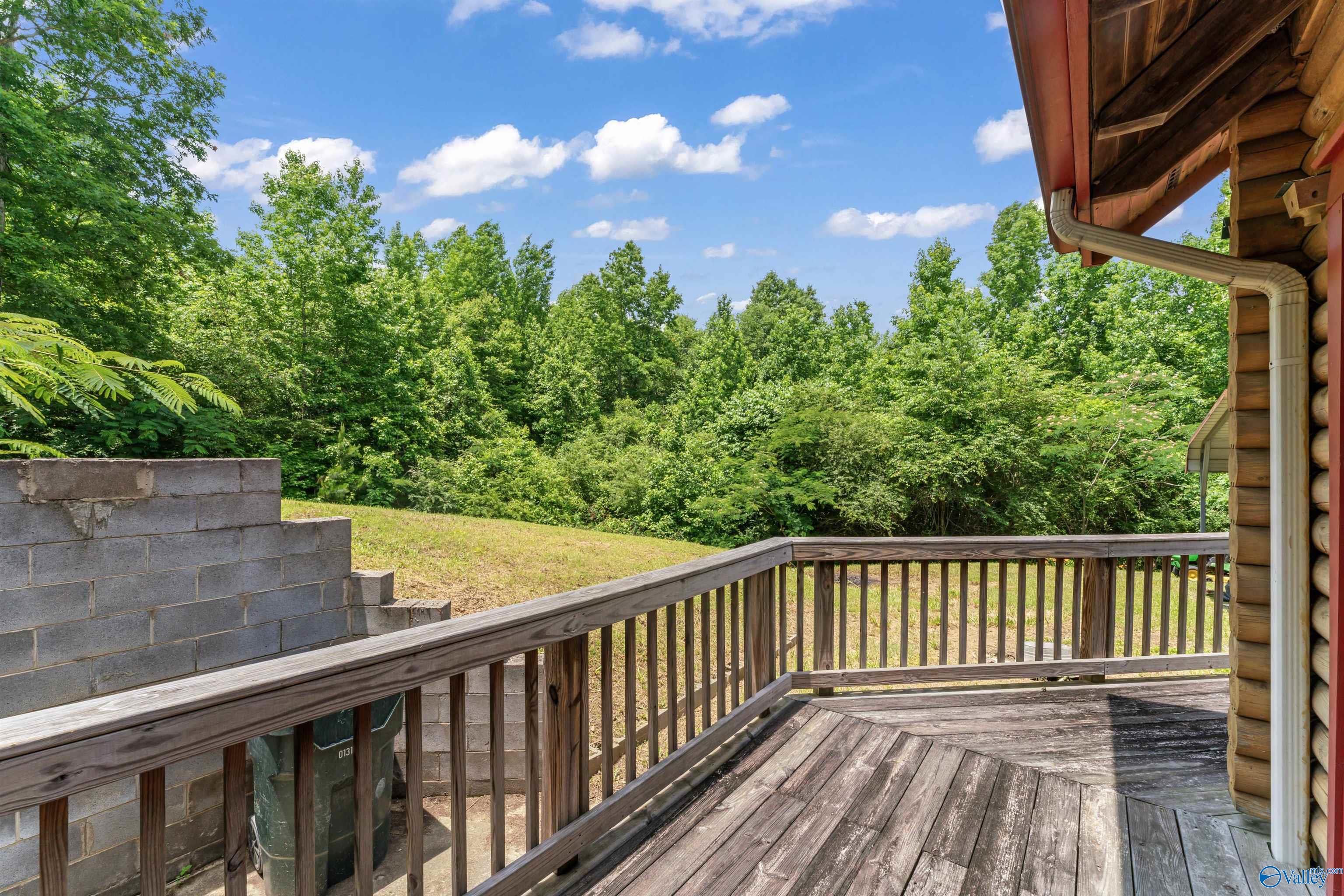 225 Oak Springs Drive