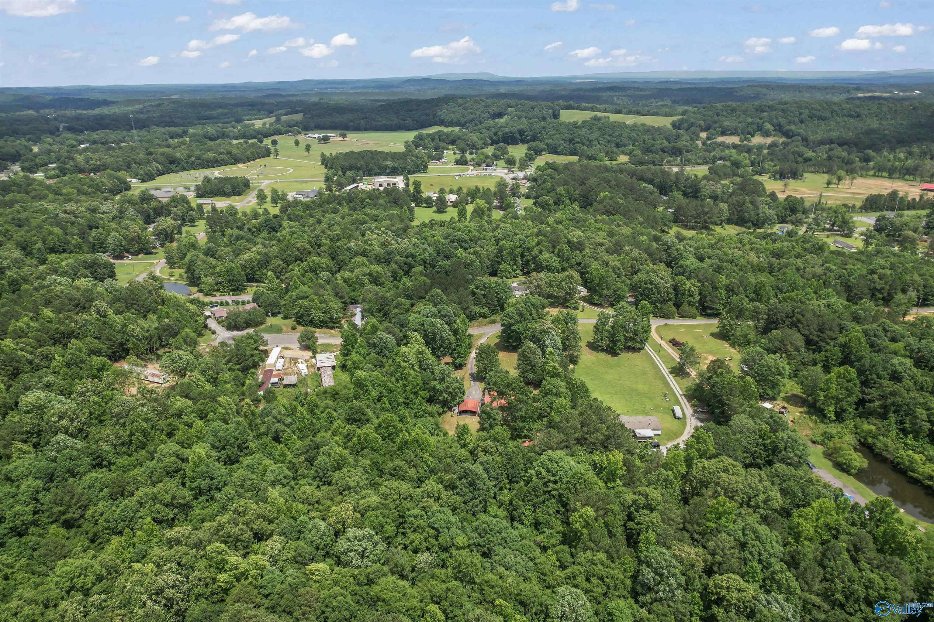 225 Oak Springs Drive
