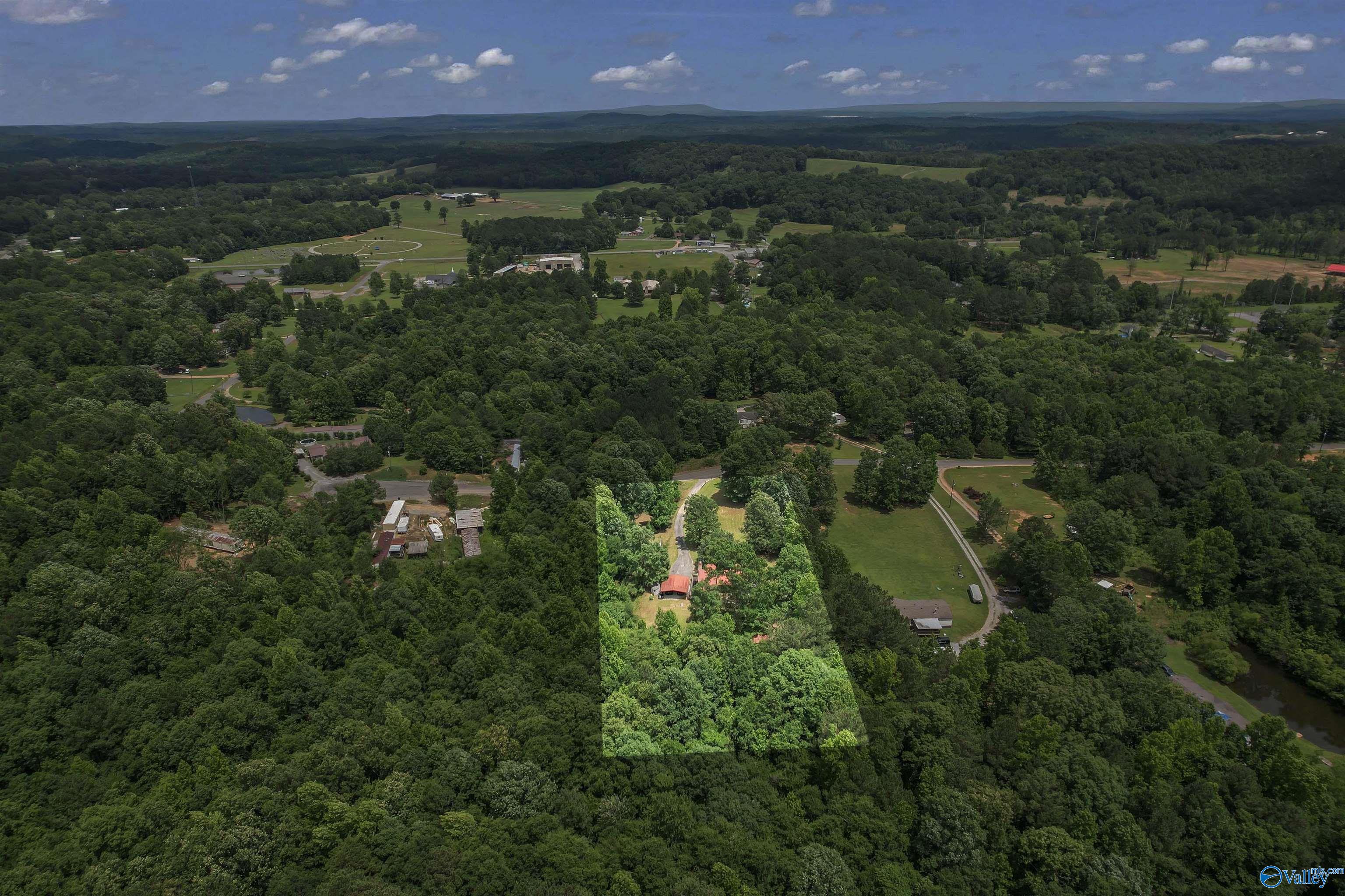 225 Oak Springs Drive