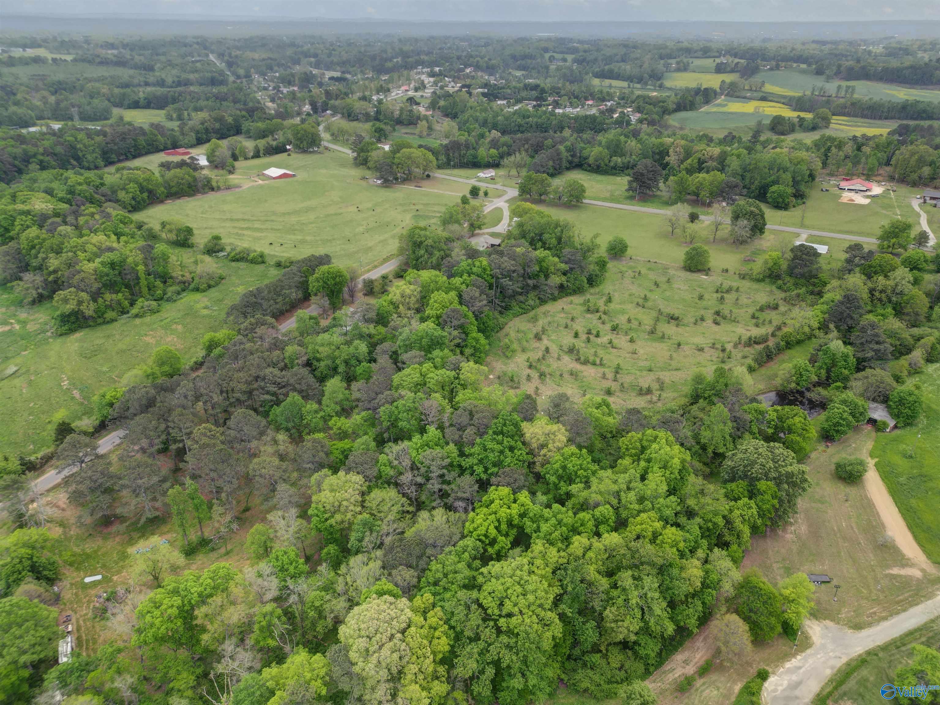73 County Road 82