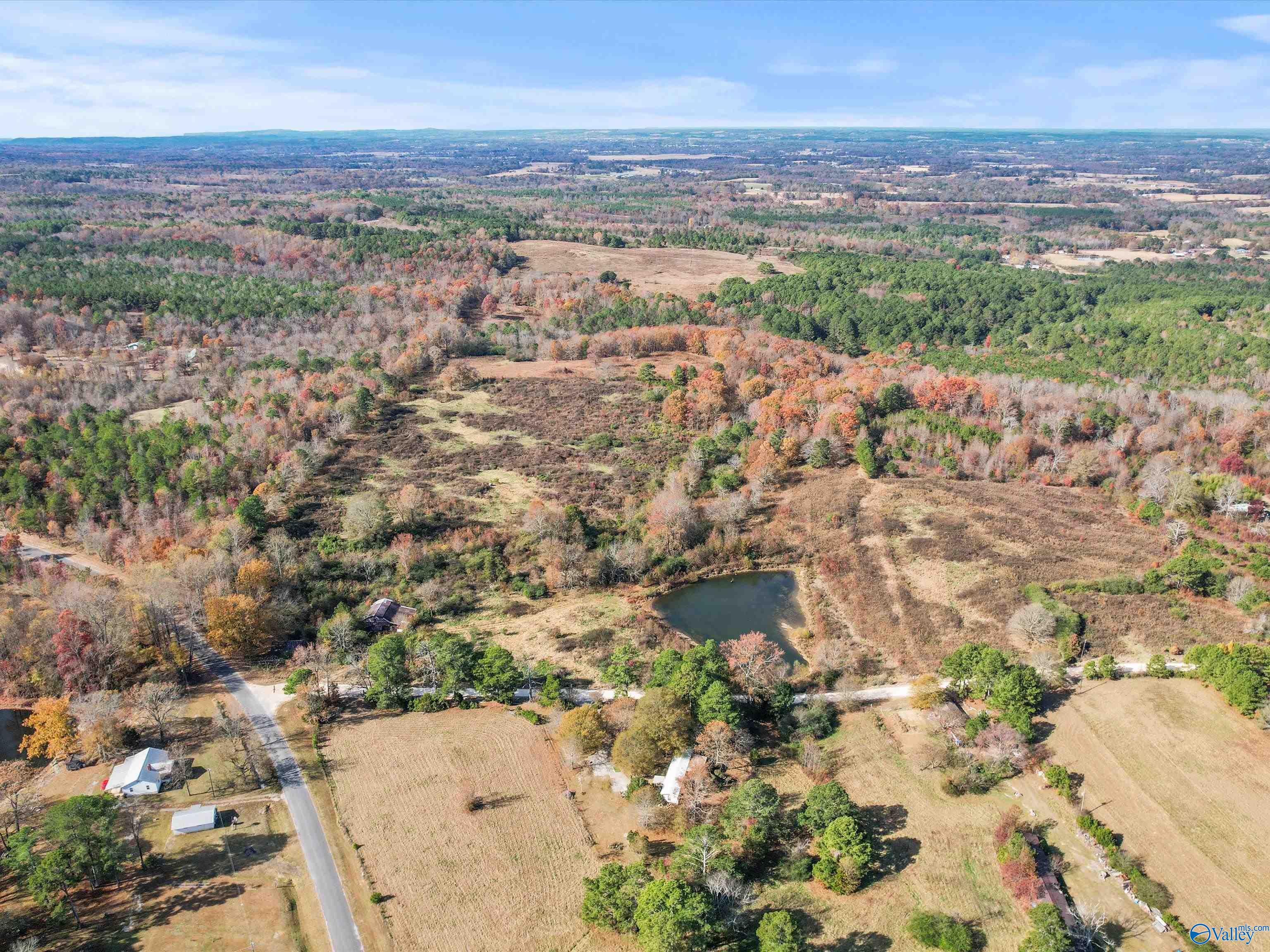 31 acres Beagle Road