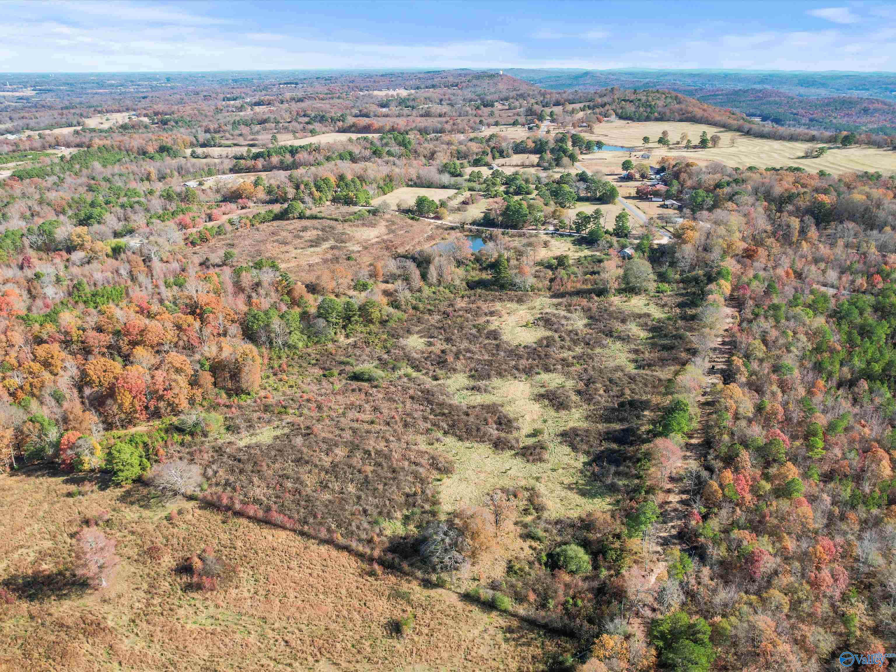 31 acres Beagle Road