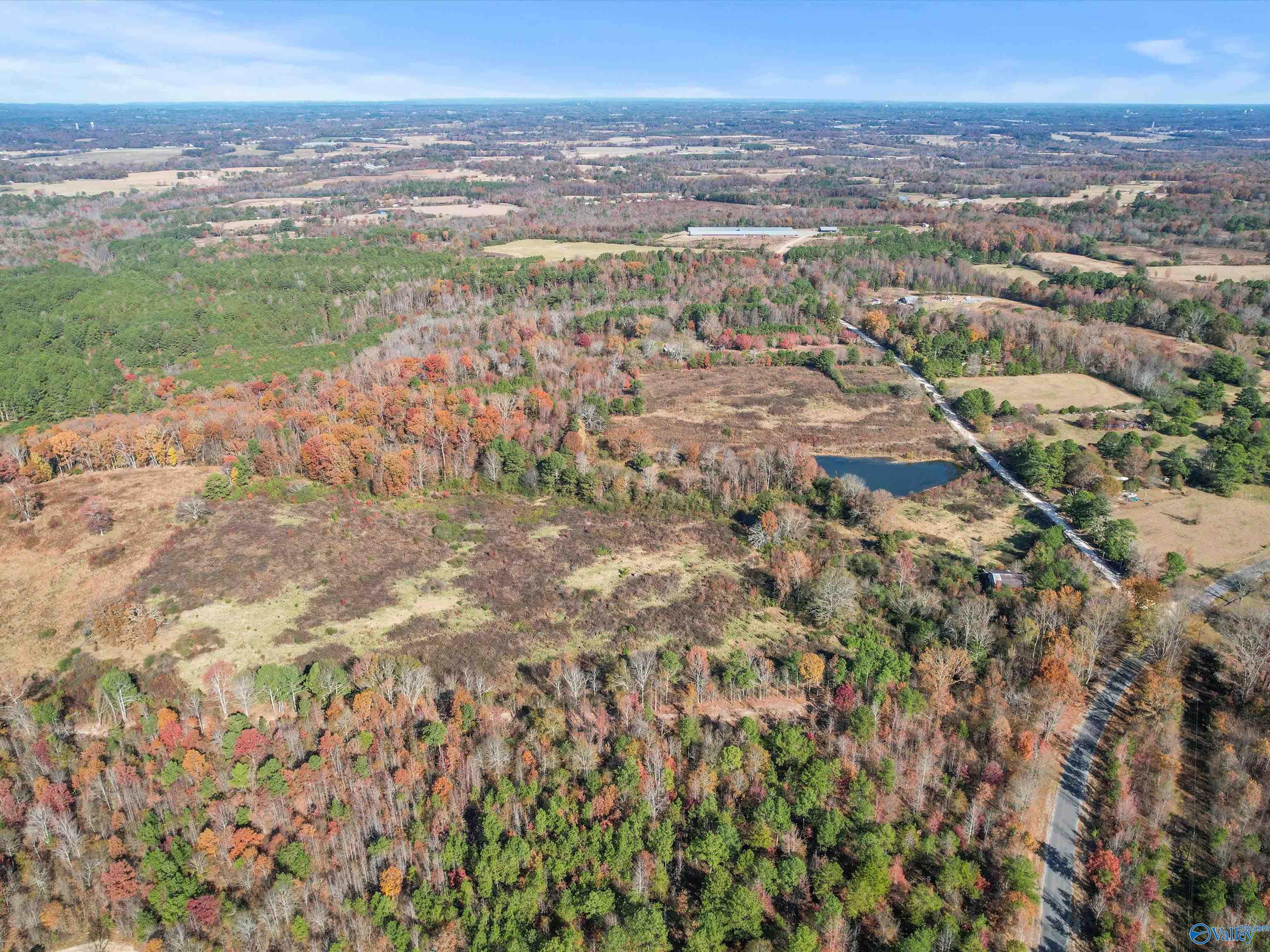 31 acres Beagle Road