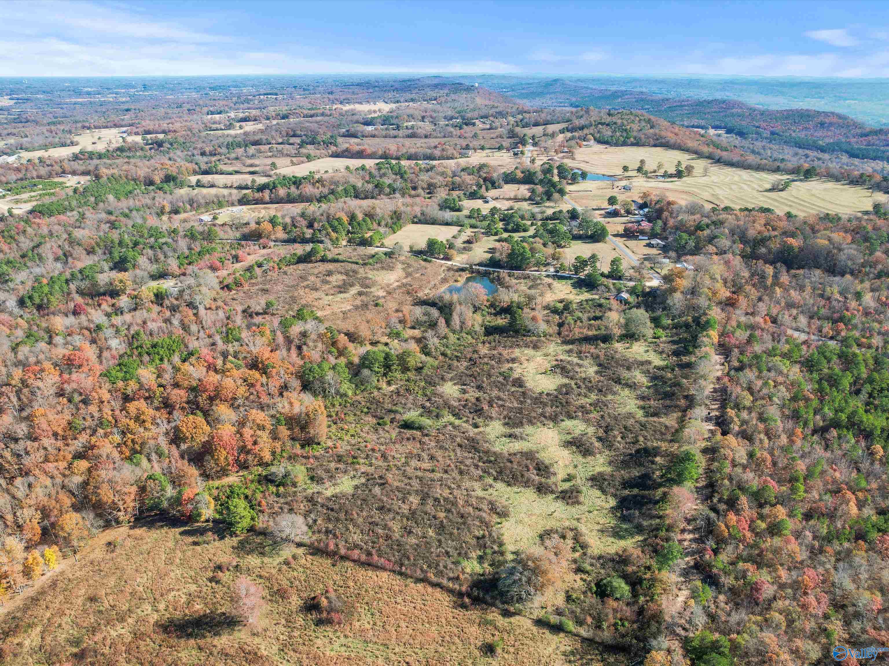 31 acres Beagle Road