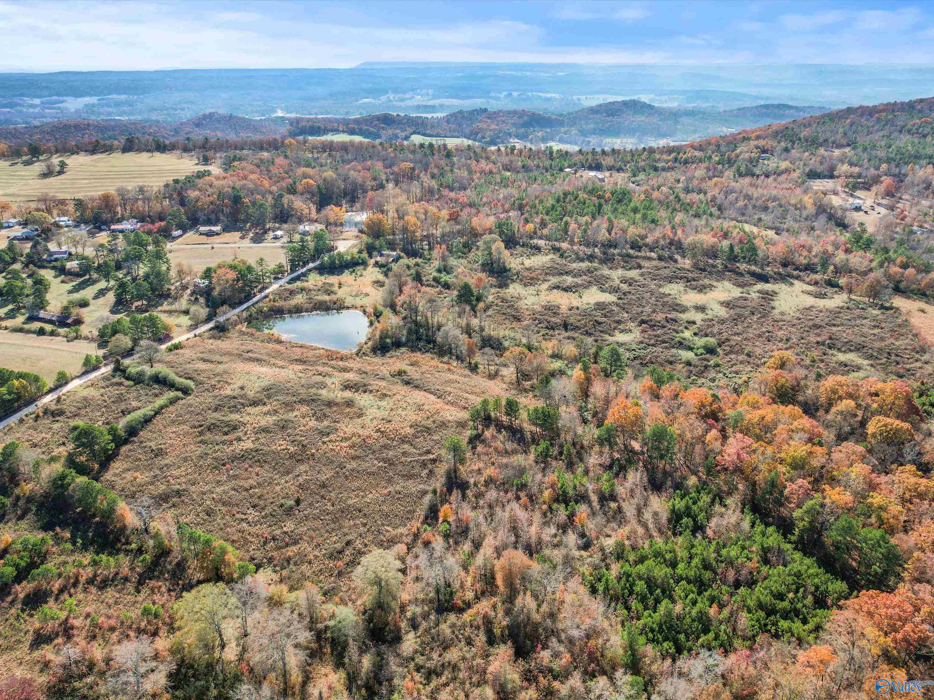 31 acres Beagle Road