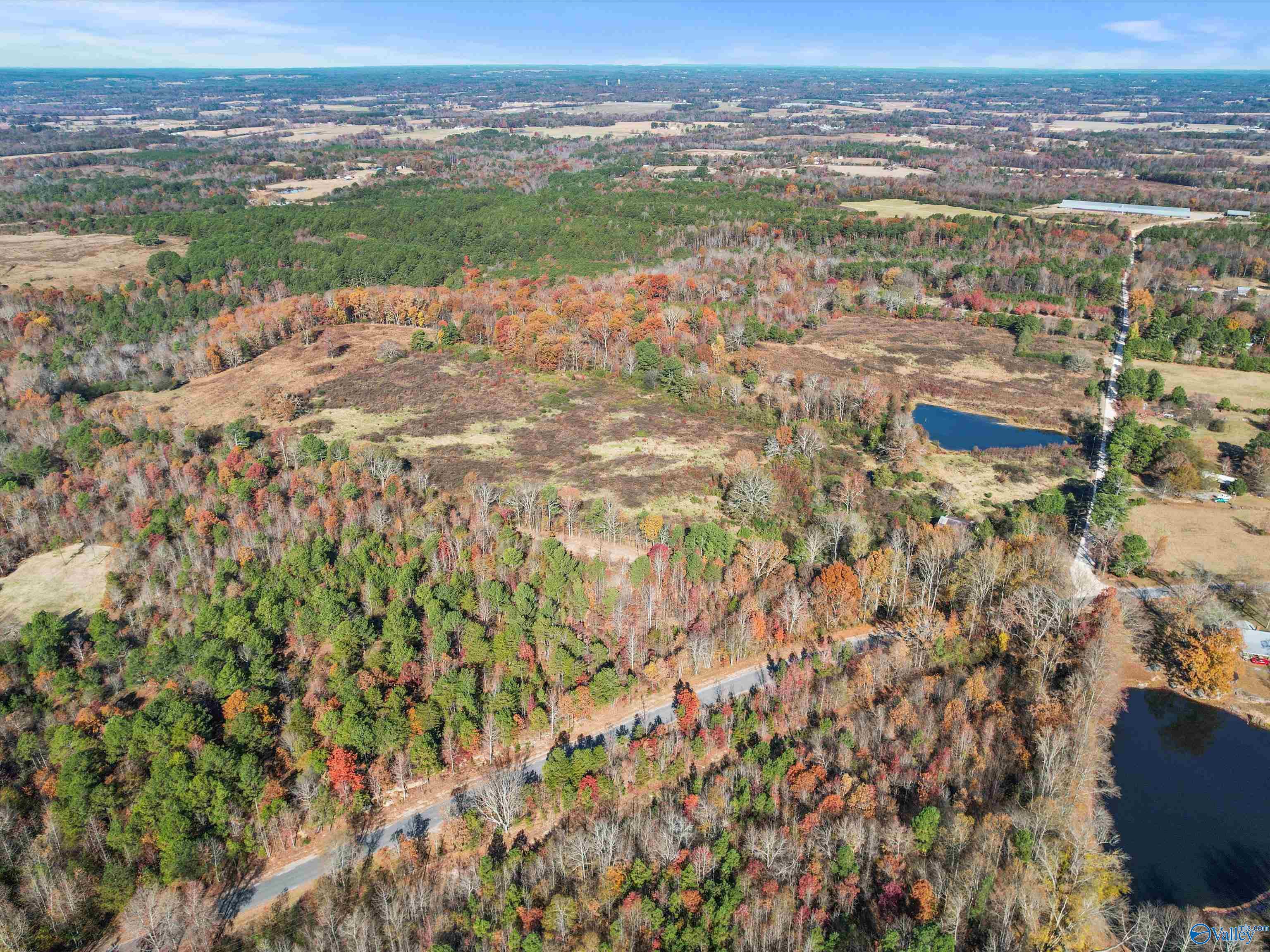 31 acres Beagle Road