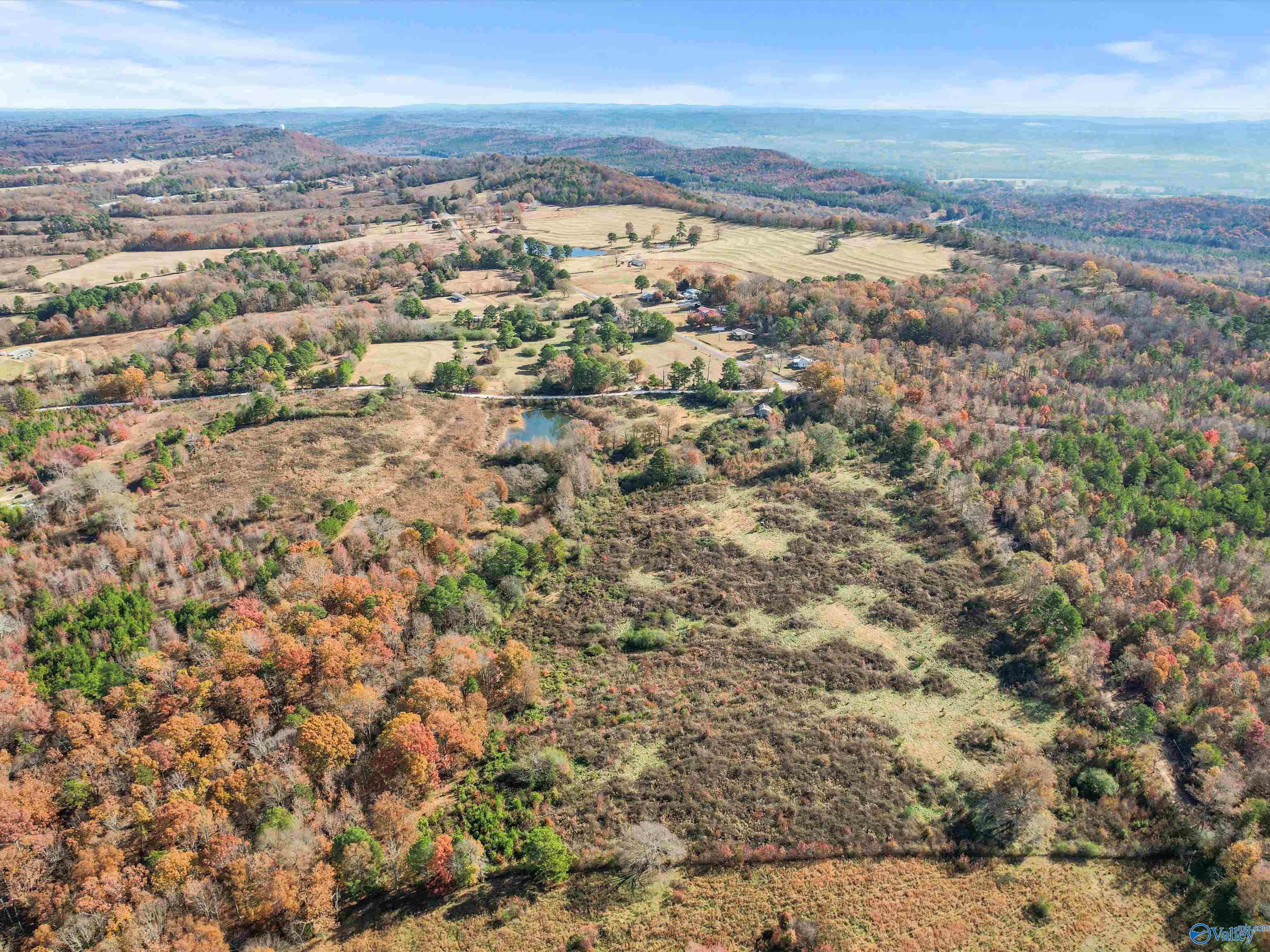 31 acres Beagle Road