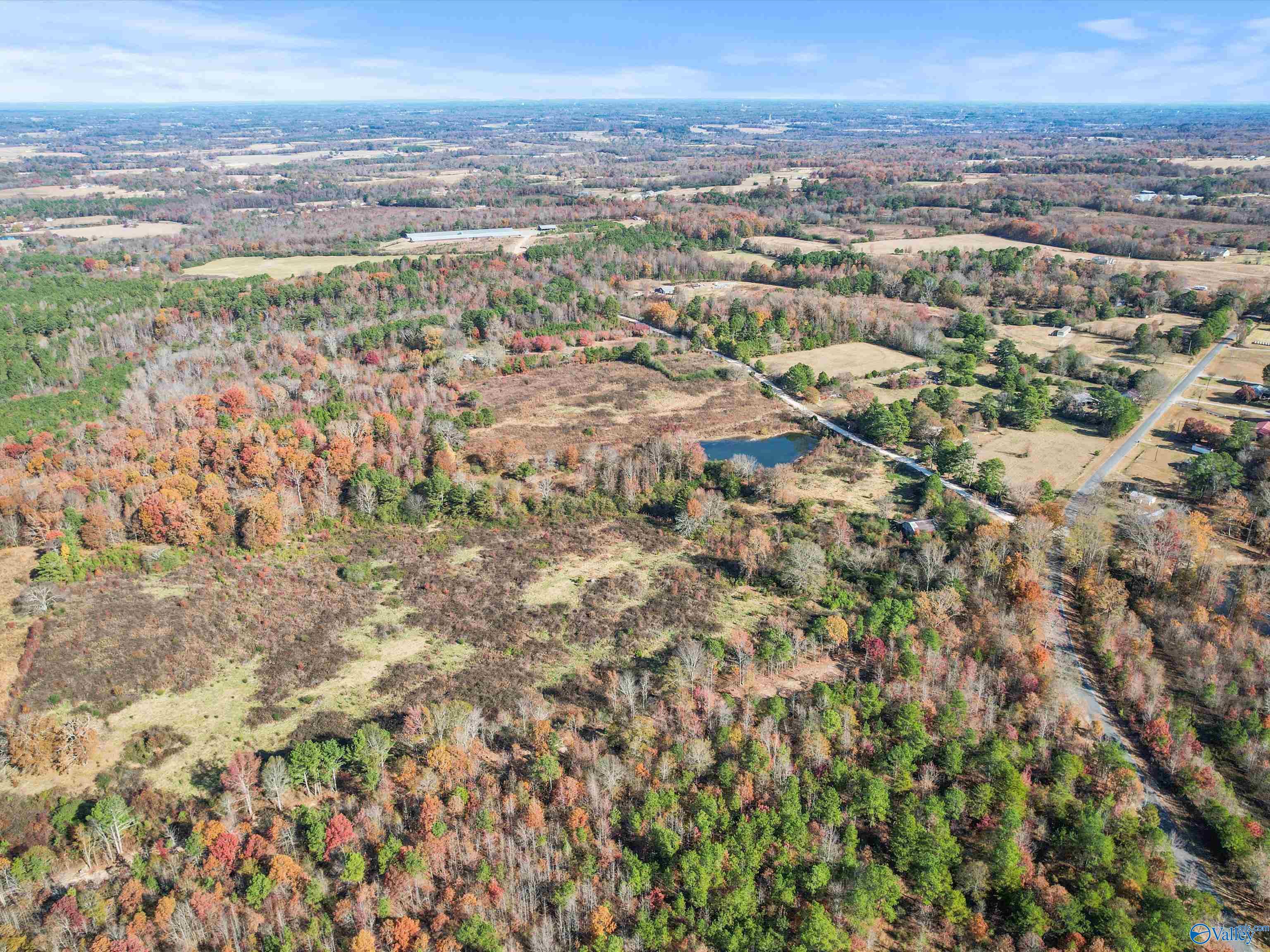 31 acres Beagle Road