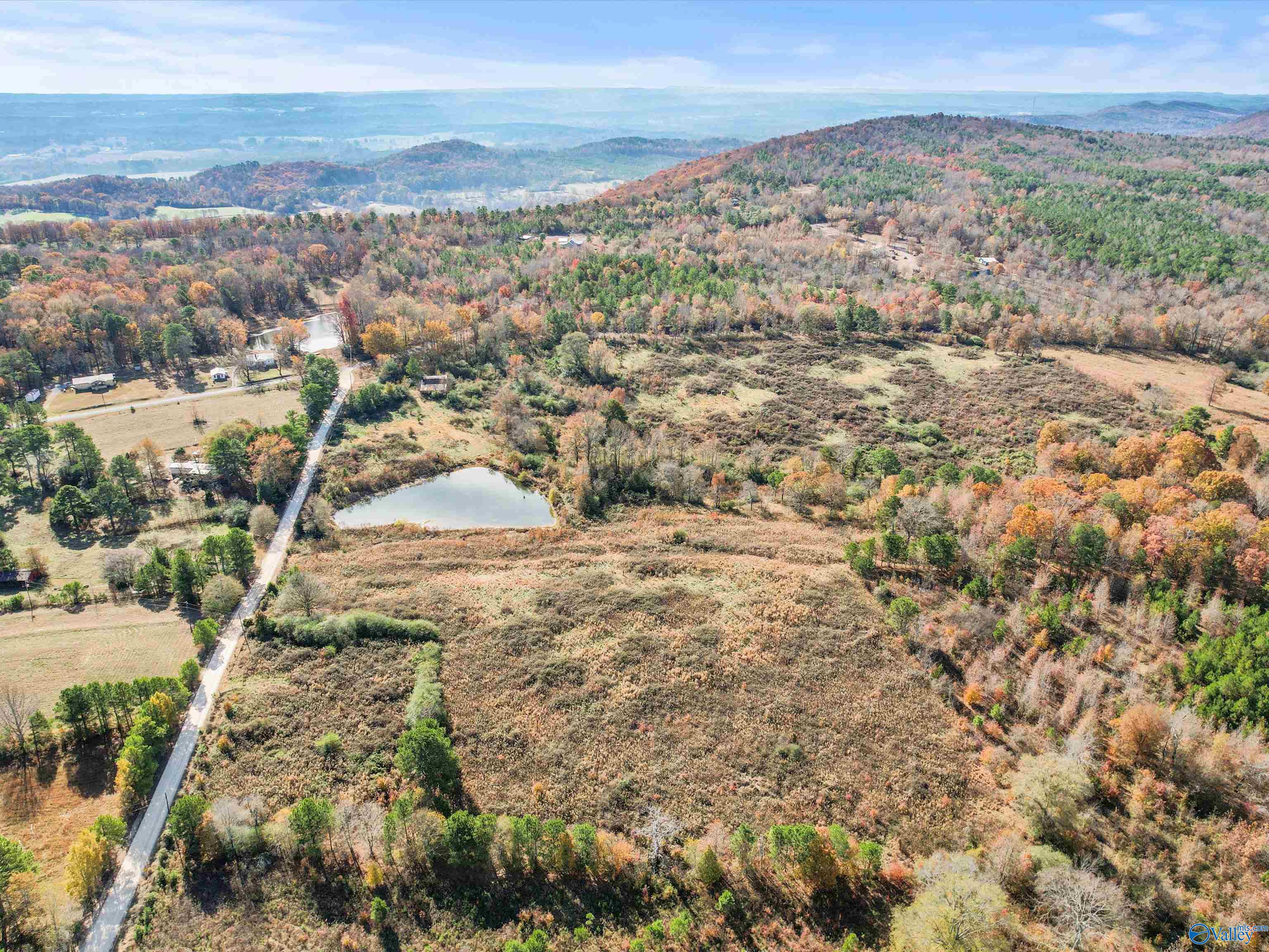 31 acres Beagle Road