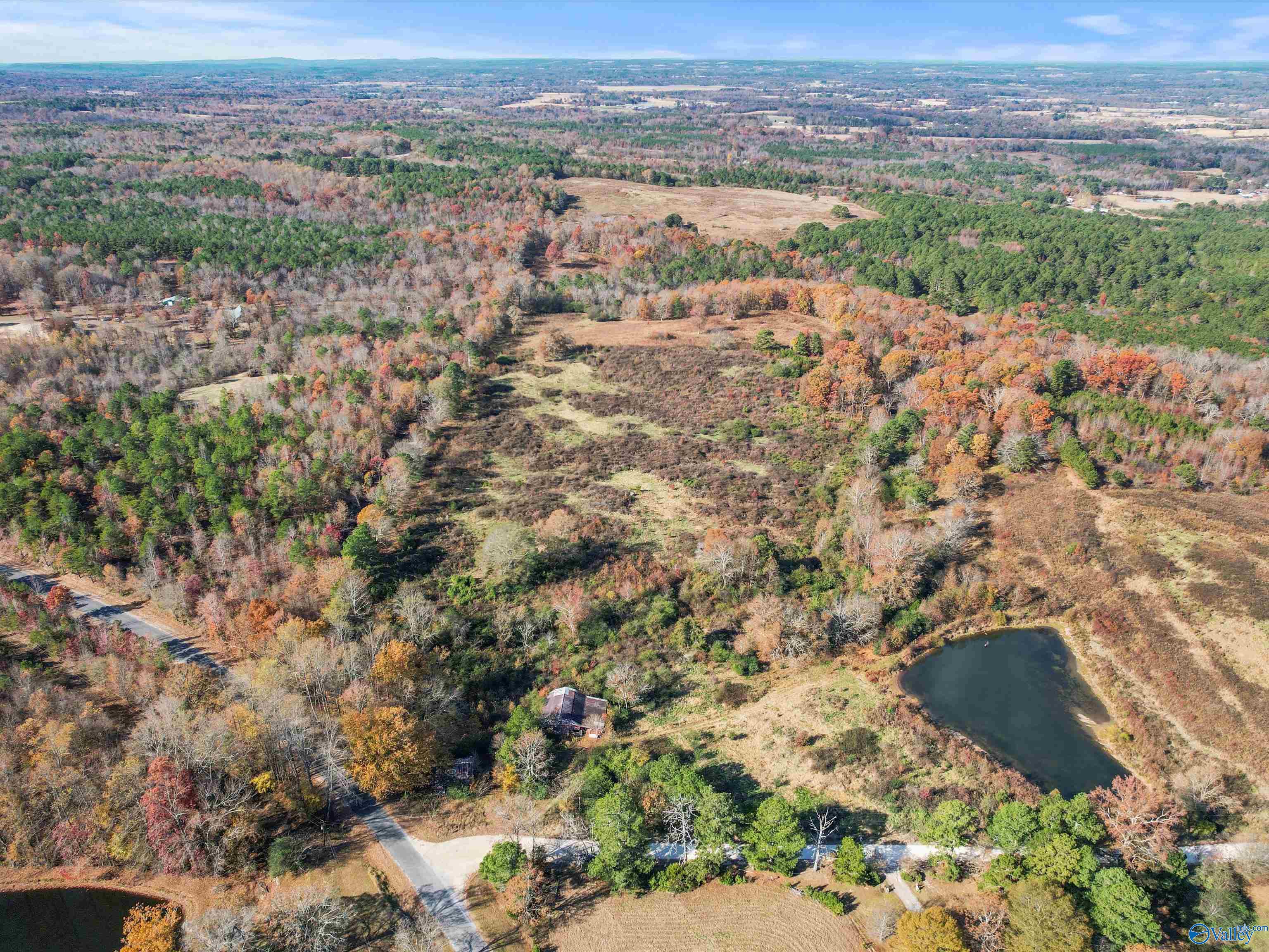 31 acres Beagle Road