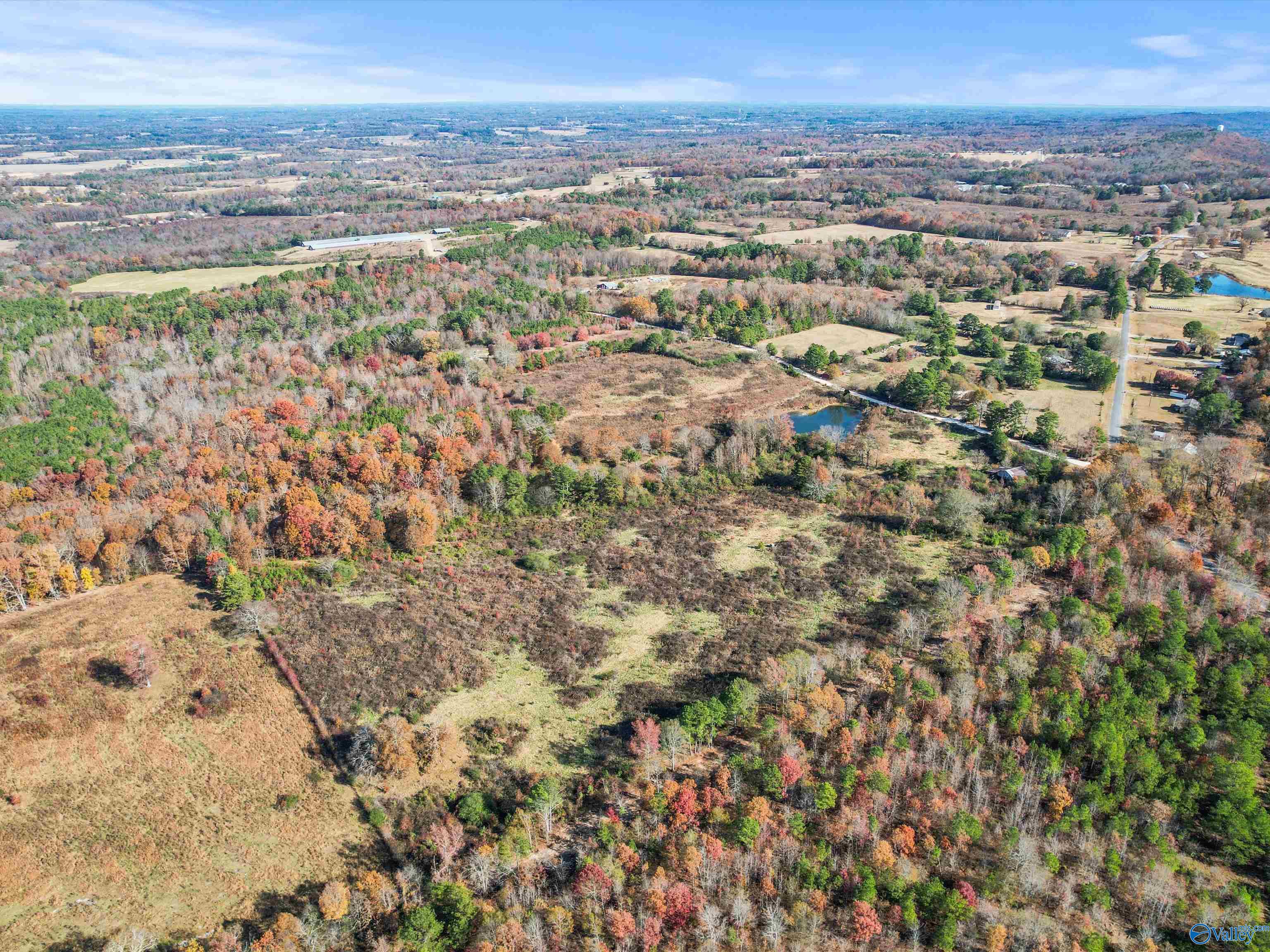 31 acres Beagle Road