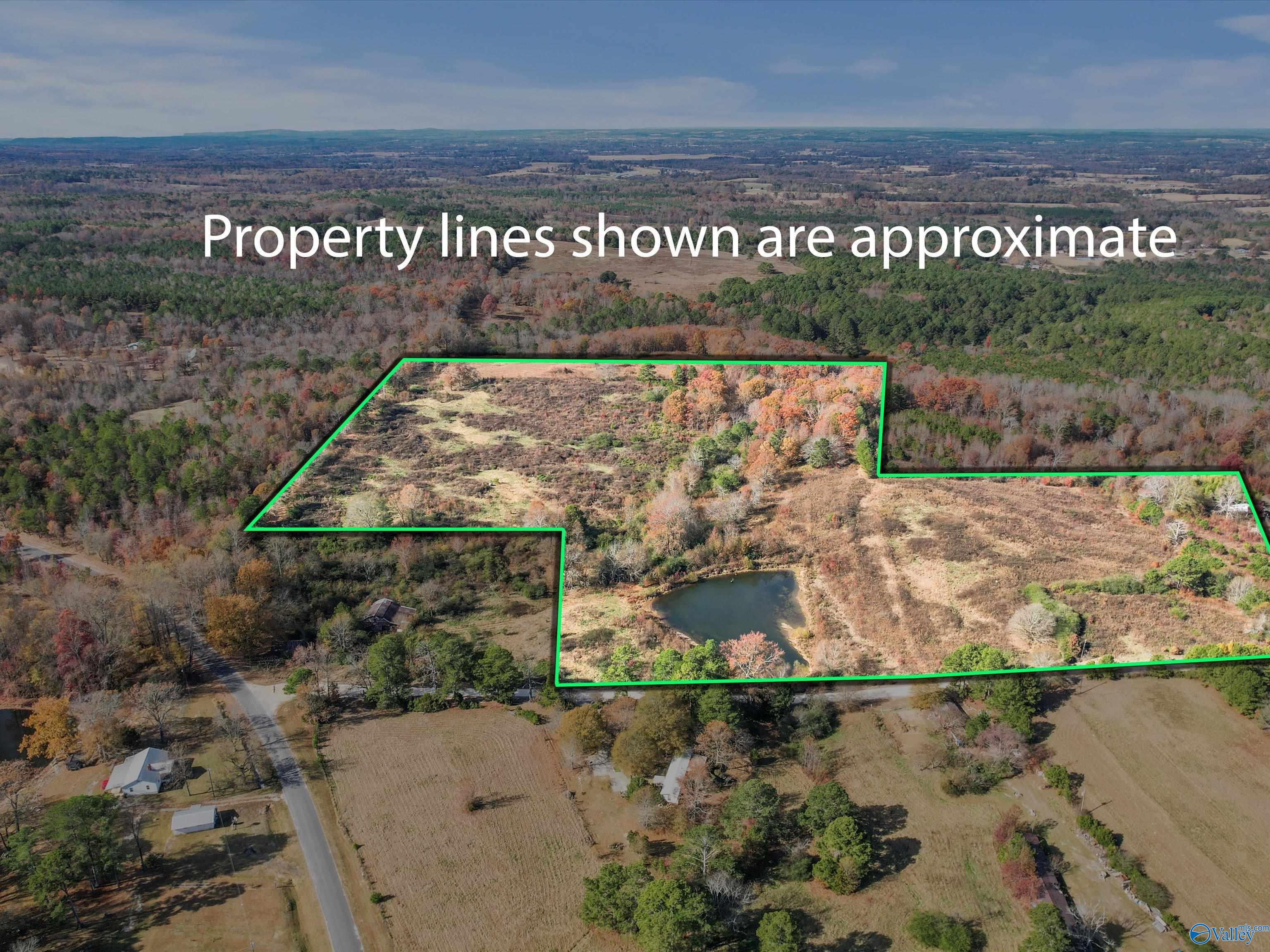 31 acres Beagle Road