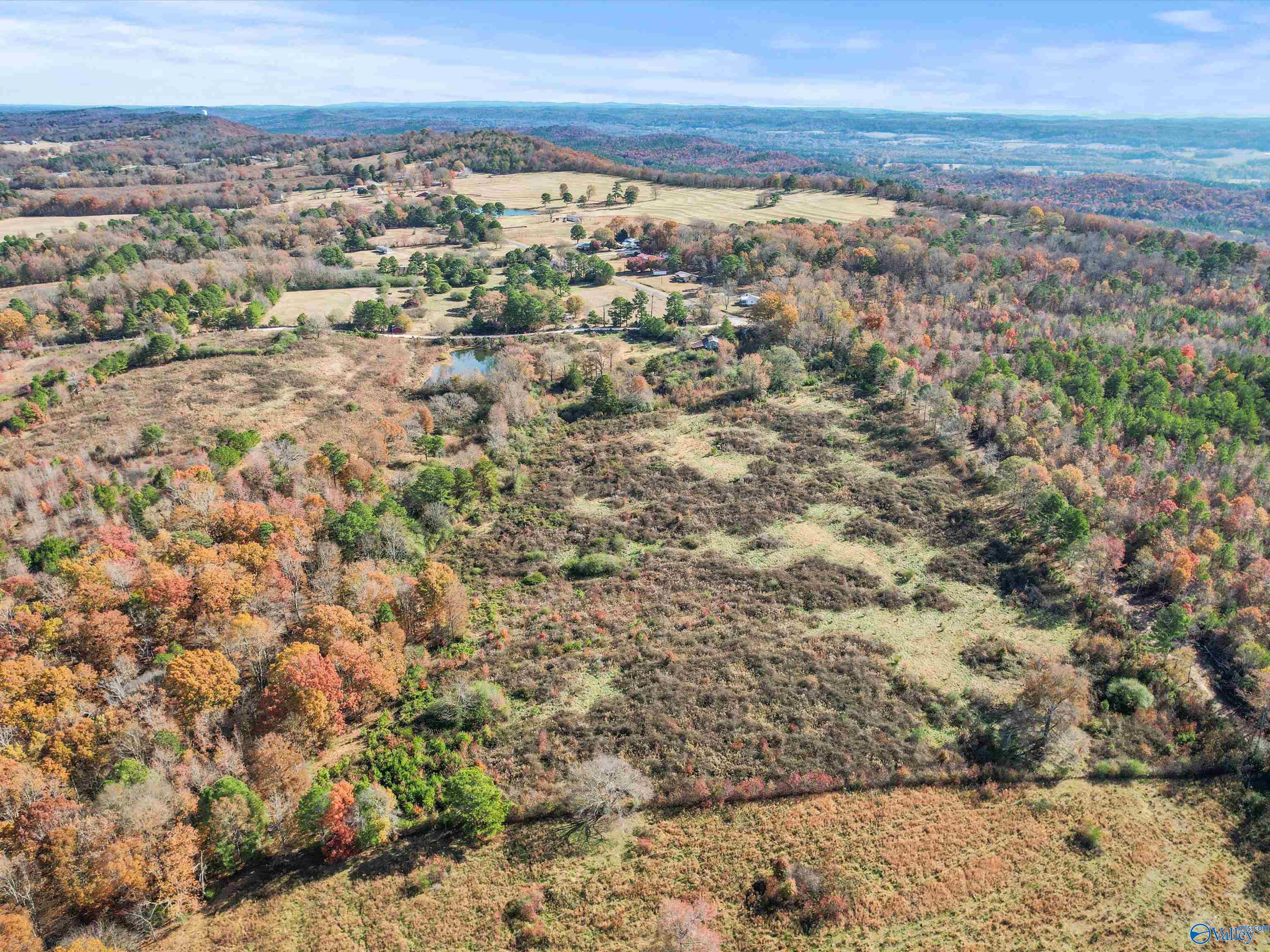 31 acres Beagle Road