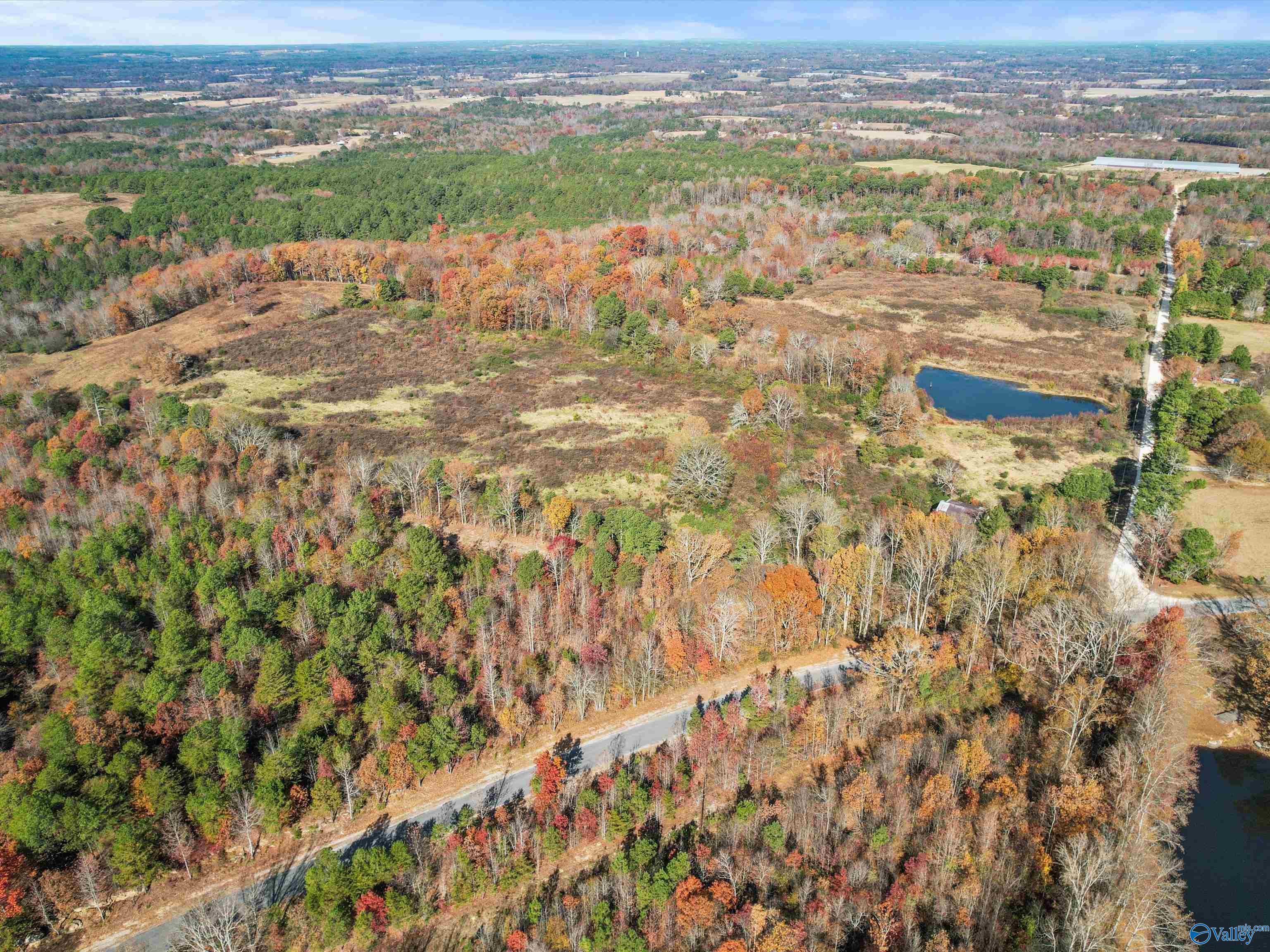 31 acres Beagle Road