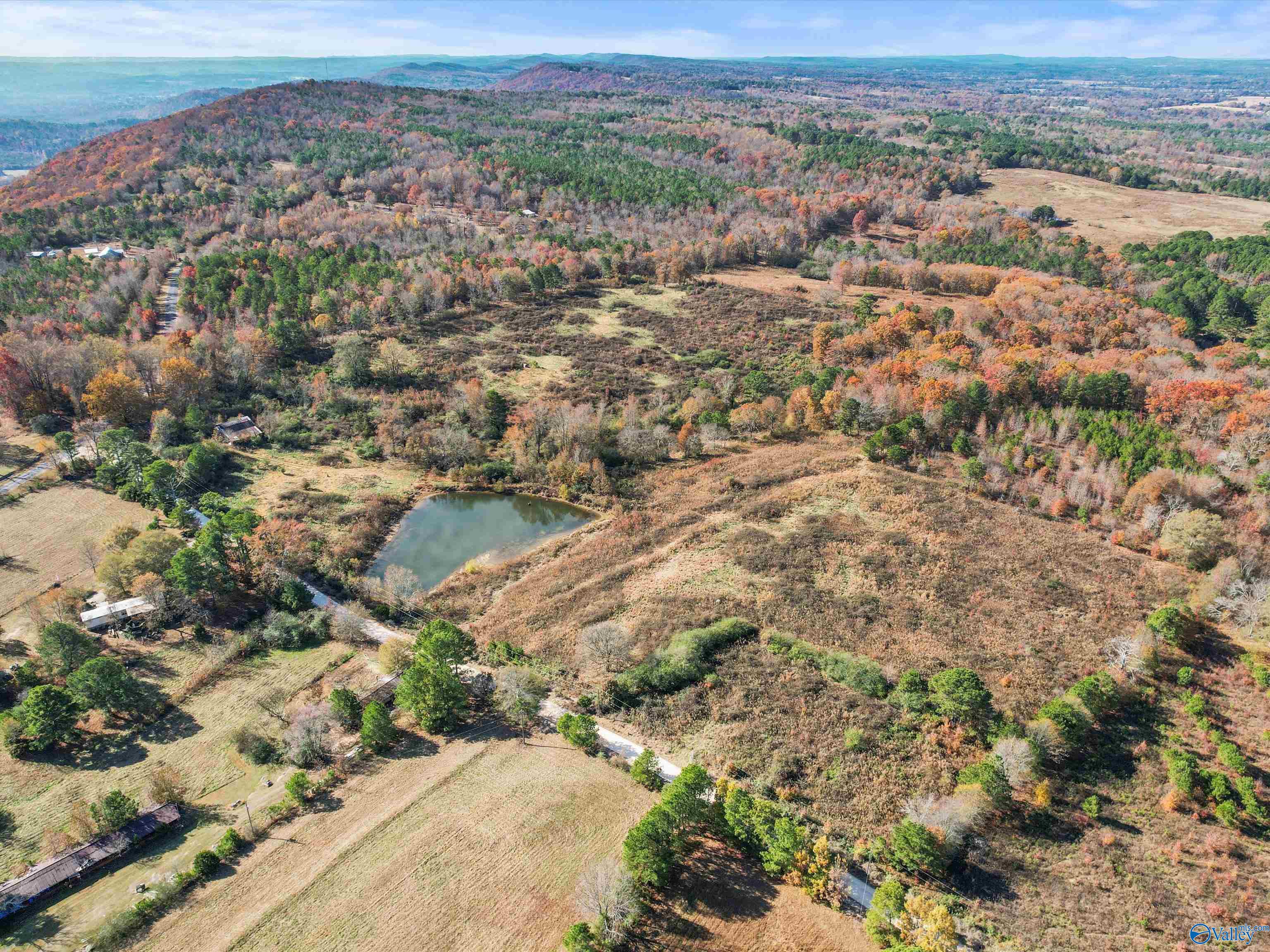 31 acres Beagle Road
