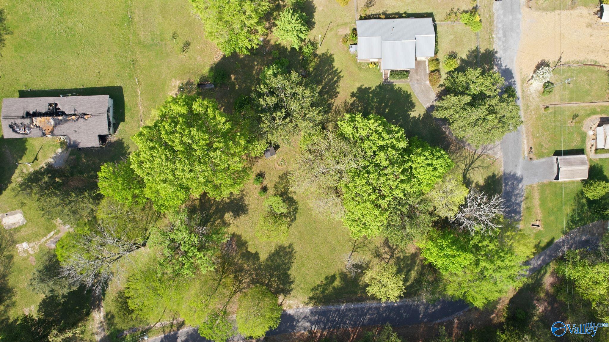 200 Trailwood Drive