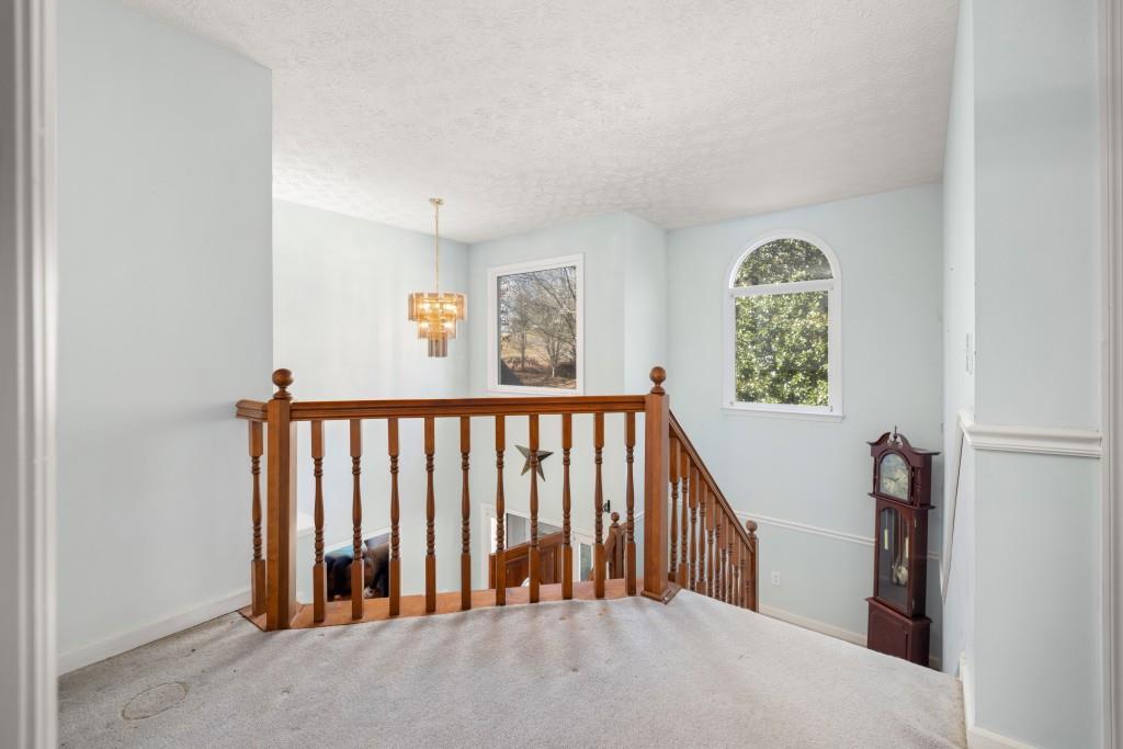 3947 Muscadine Trail