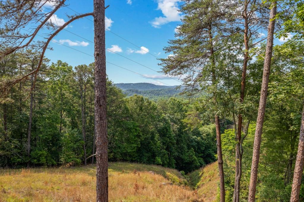 567 Crown Mountain Way Lot 22