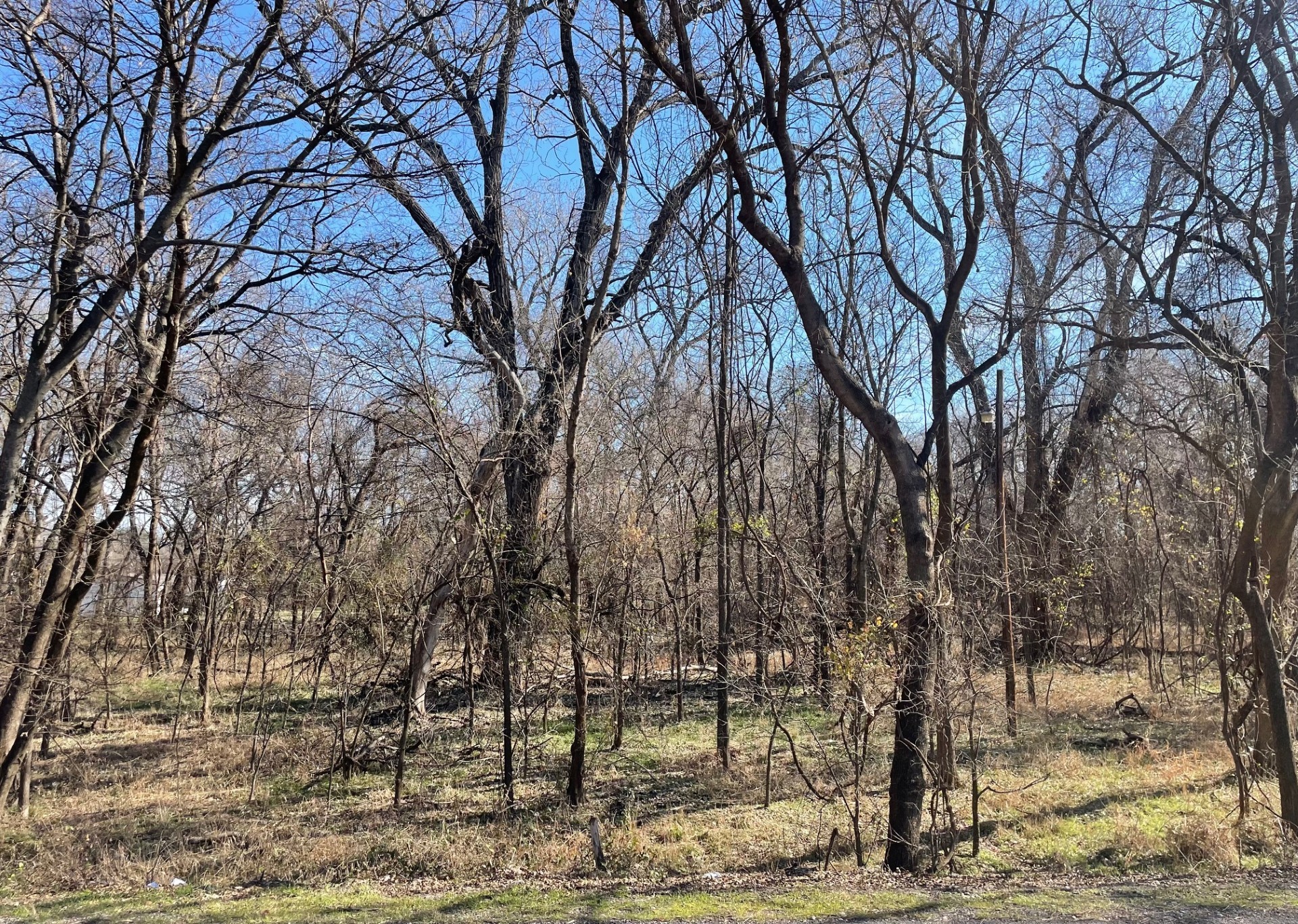 14310 Mcguire Street