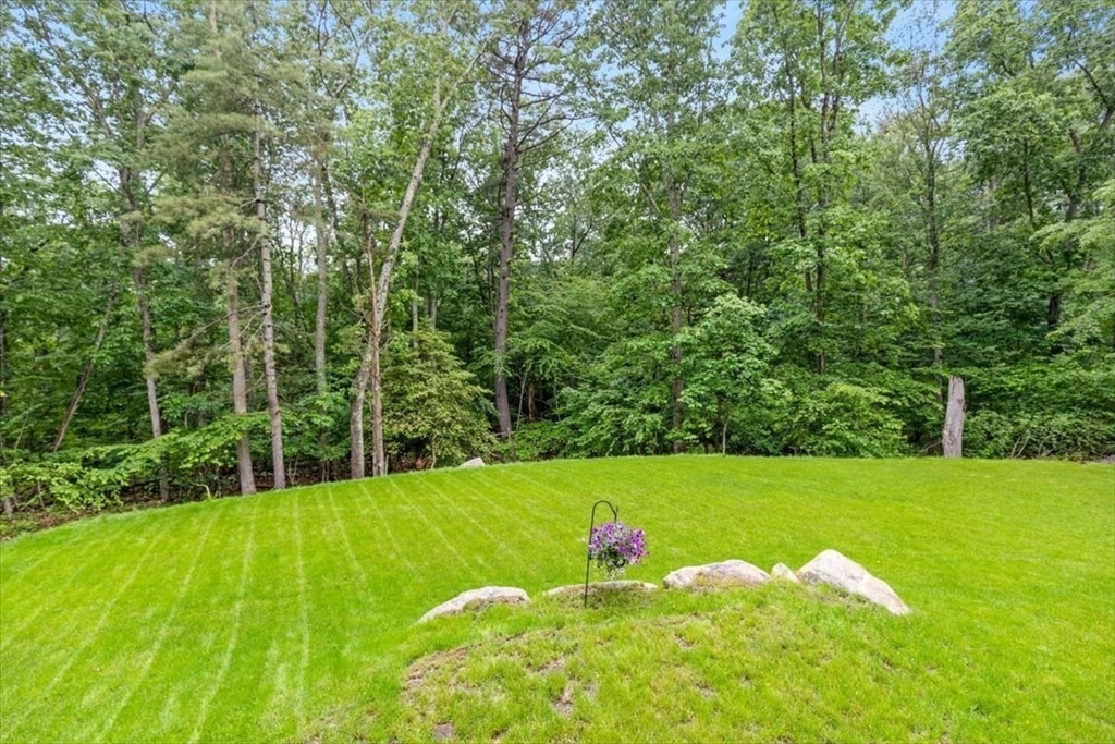 98 Old Forge Rd