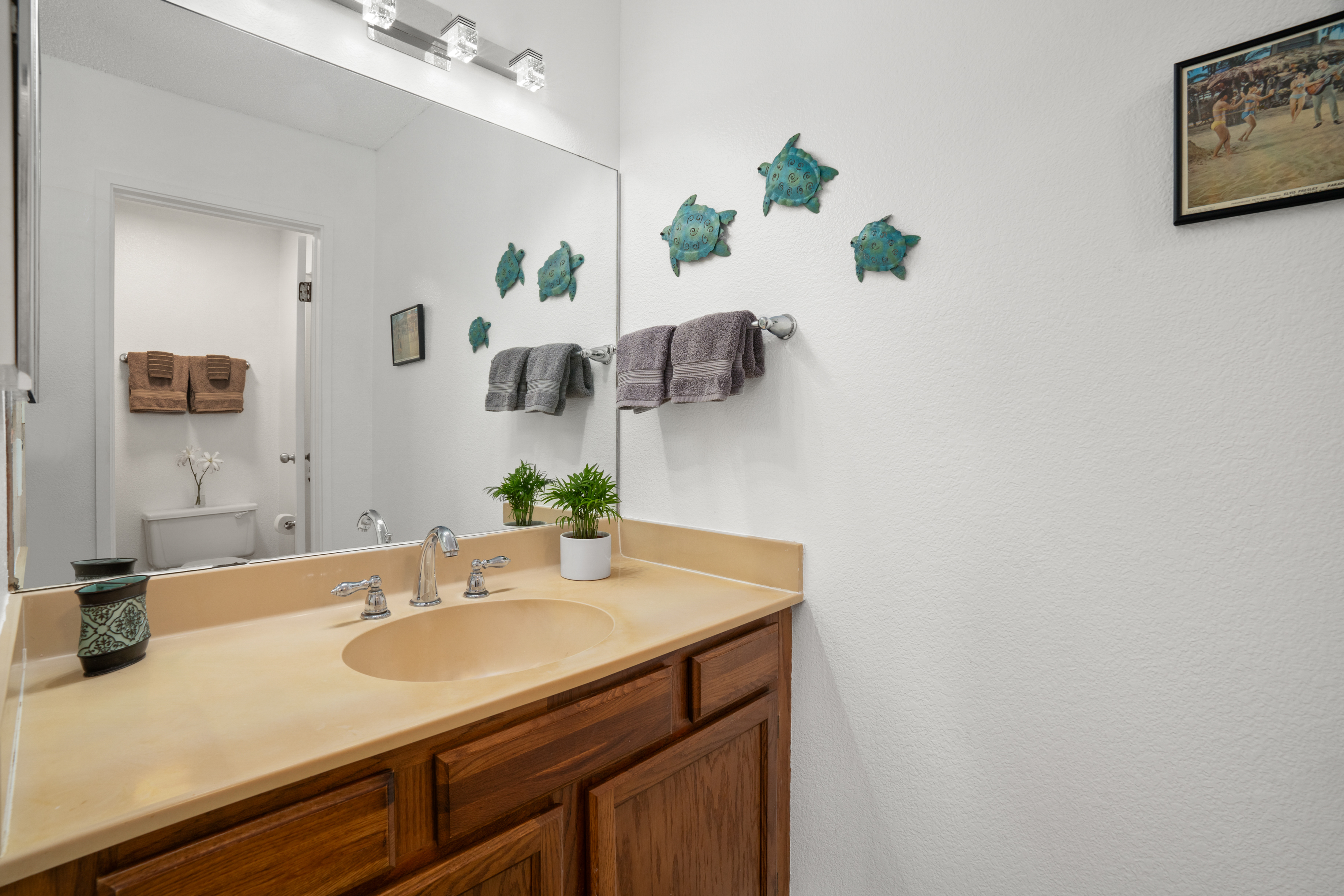 4770 PEPELANI LP 126