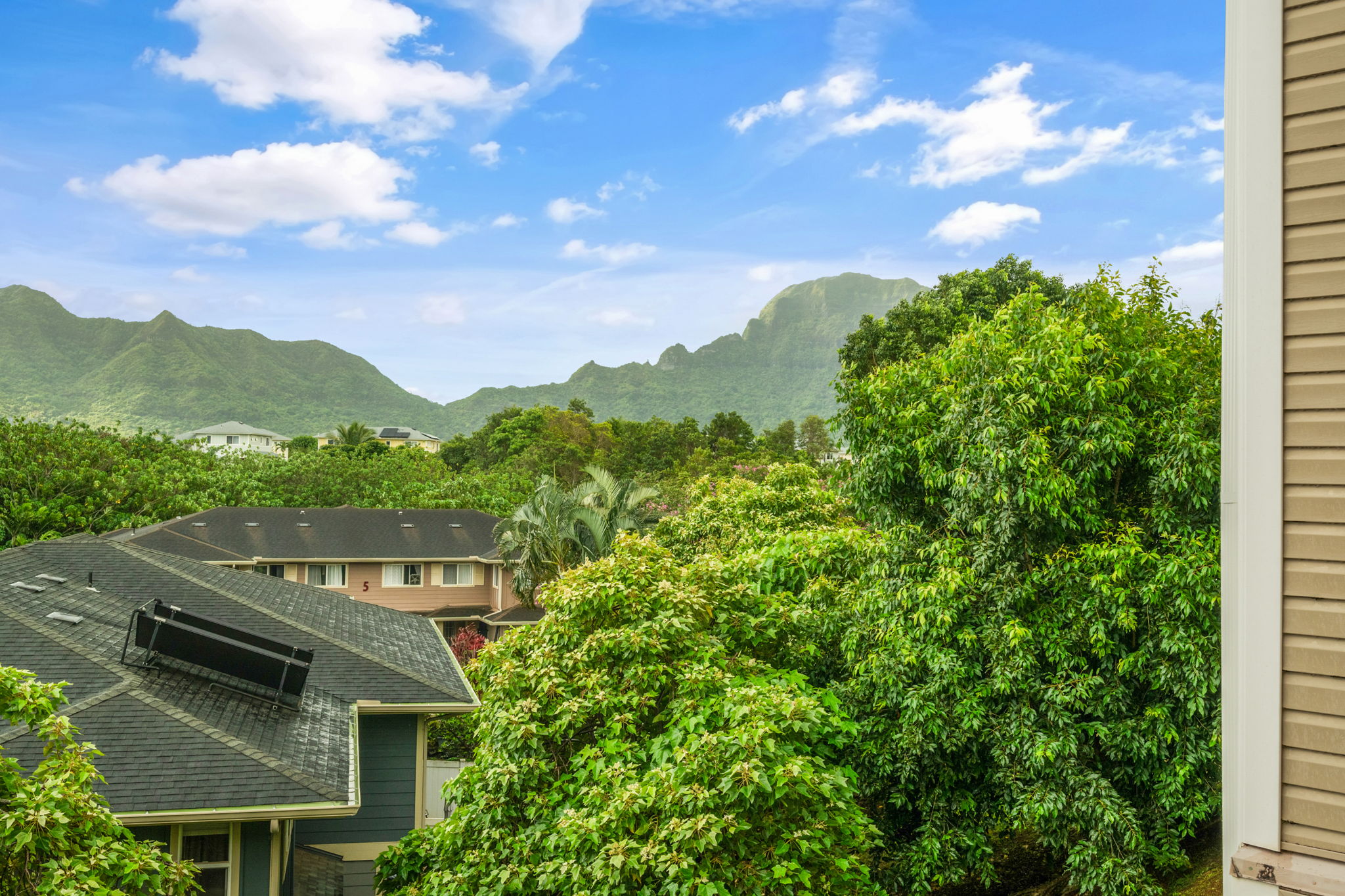 2090 HANALIMA ST Z102