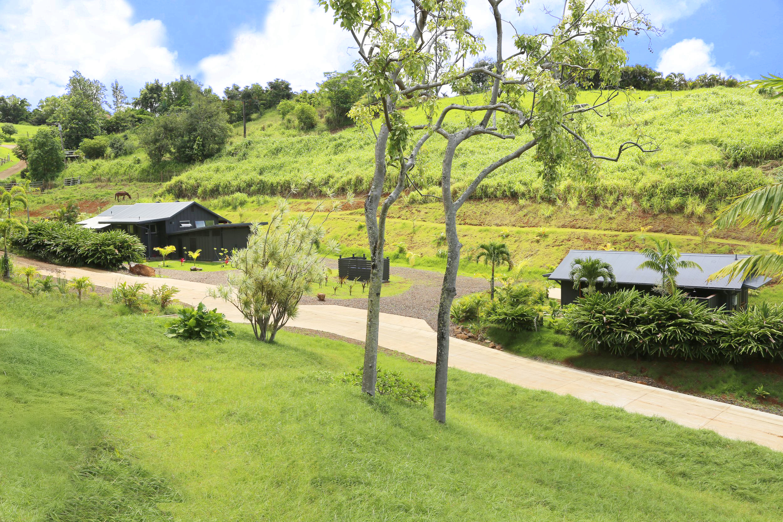 2-3161 KAUMUALII HWY 2