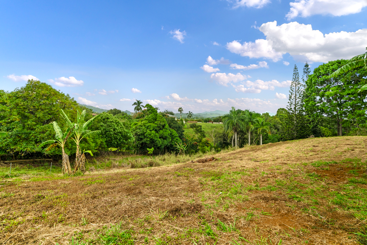 HAUIKI RD 1