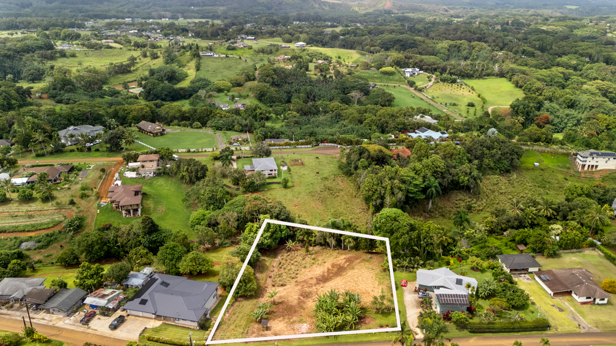 HAUIKI RD 1