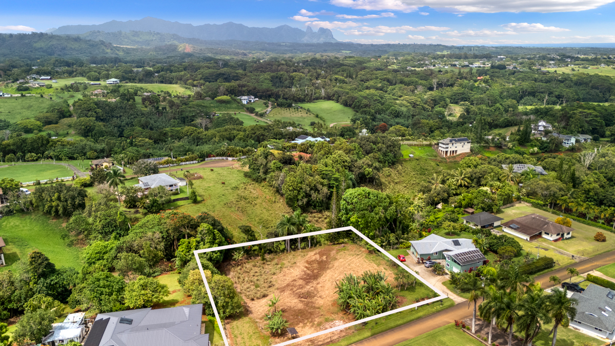 HAUIKI RD 1