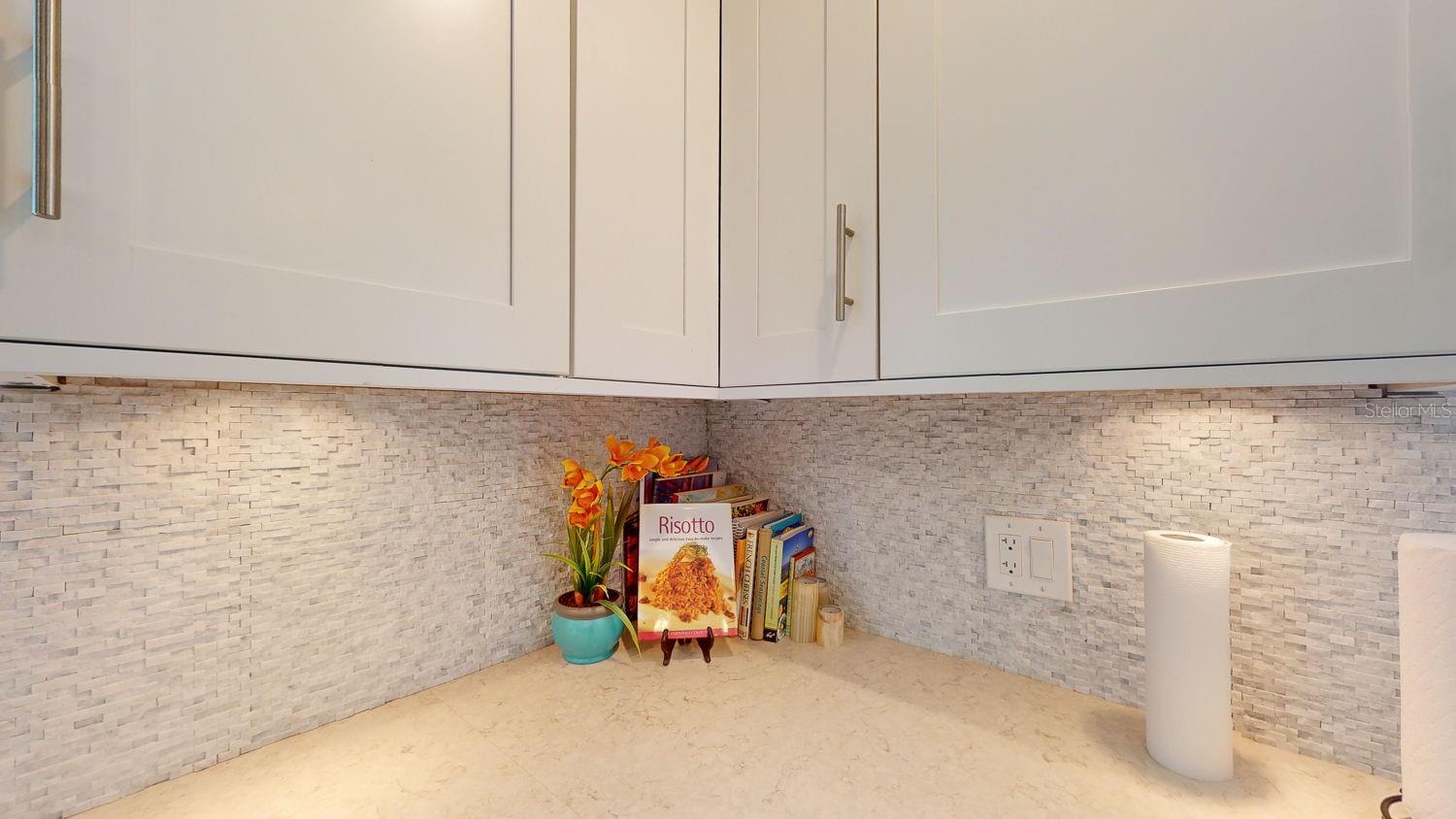 1120 N SHORE DR NE #501