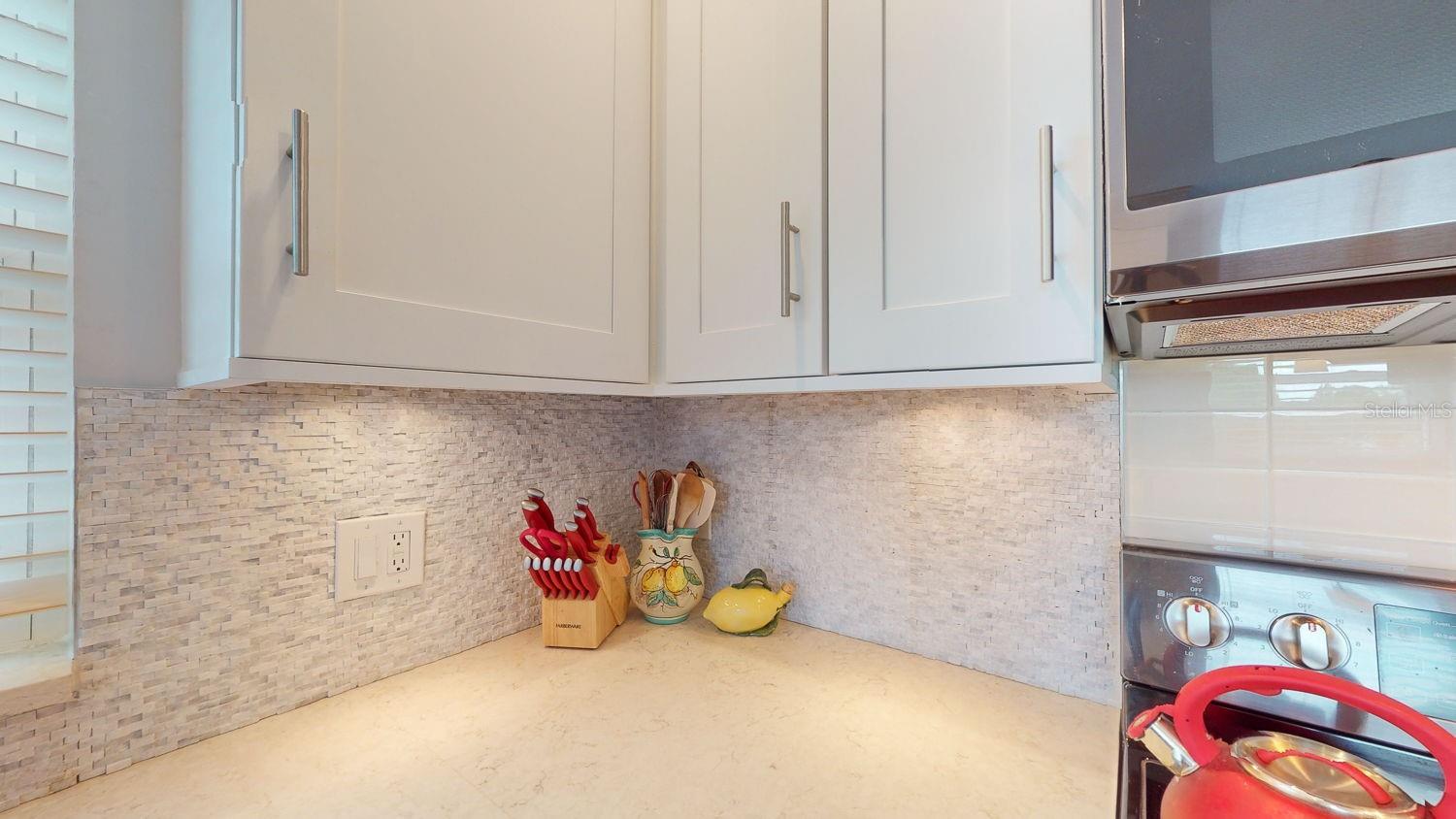 1120 N SHORE DR NE #501