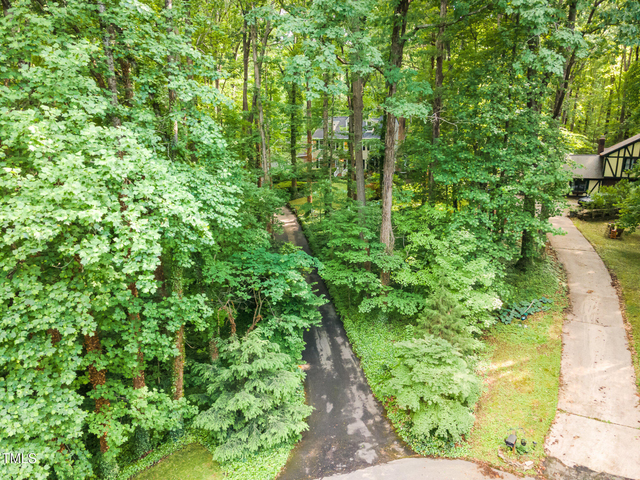 12709 Timberlane Court