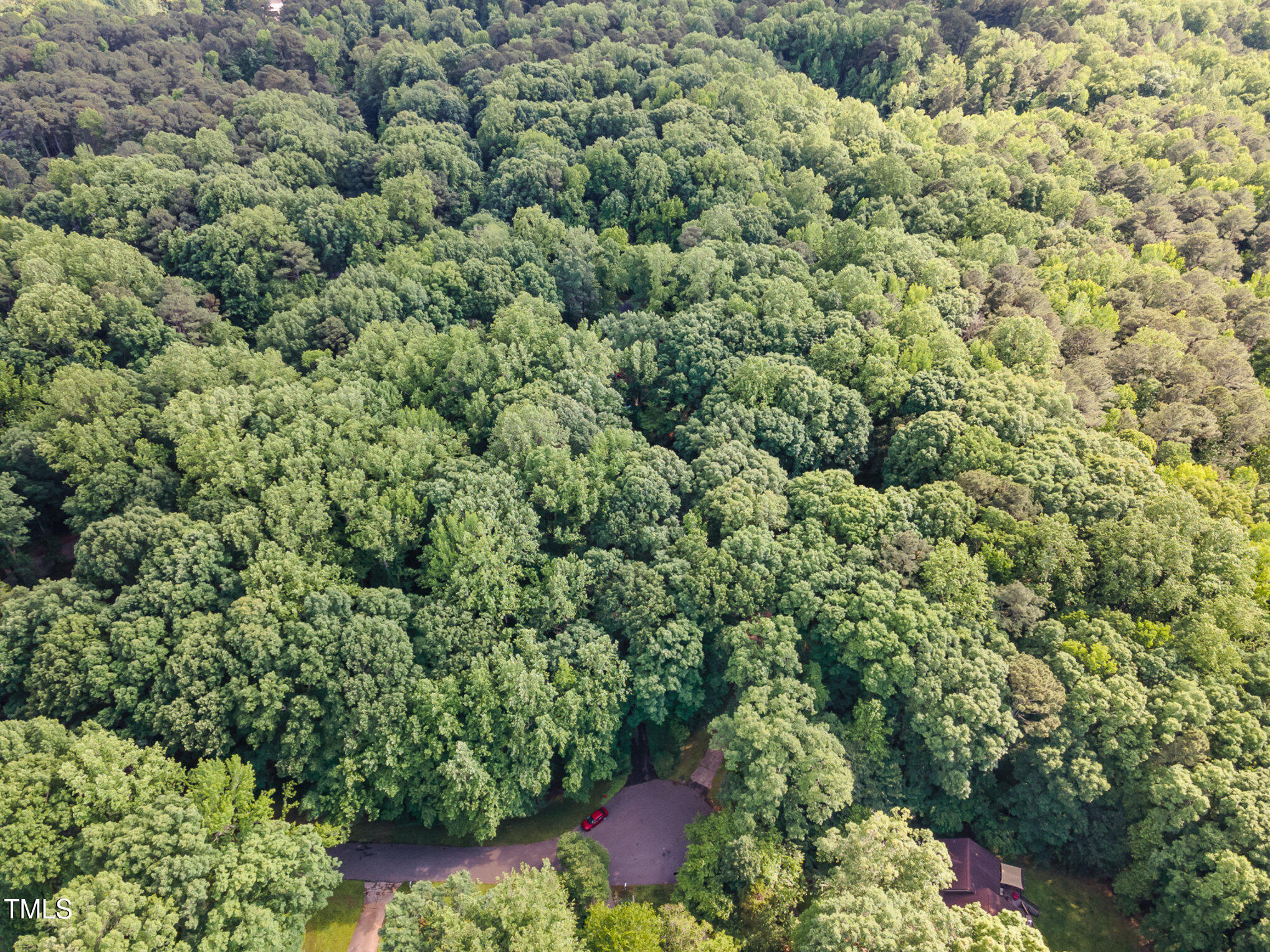 12709 Timberlane Court
