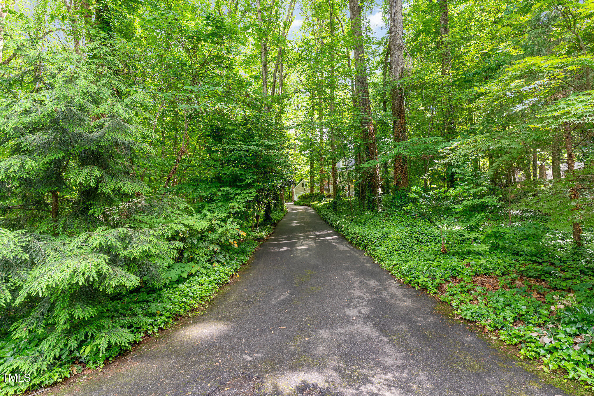 12709 Timberlane Court