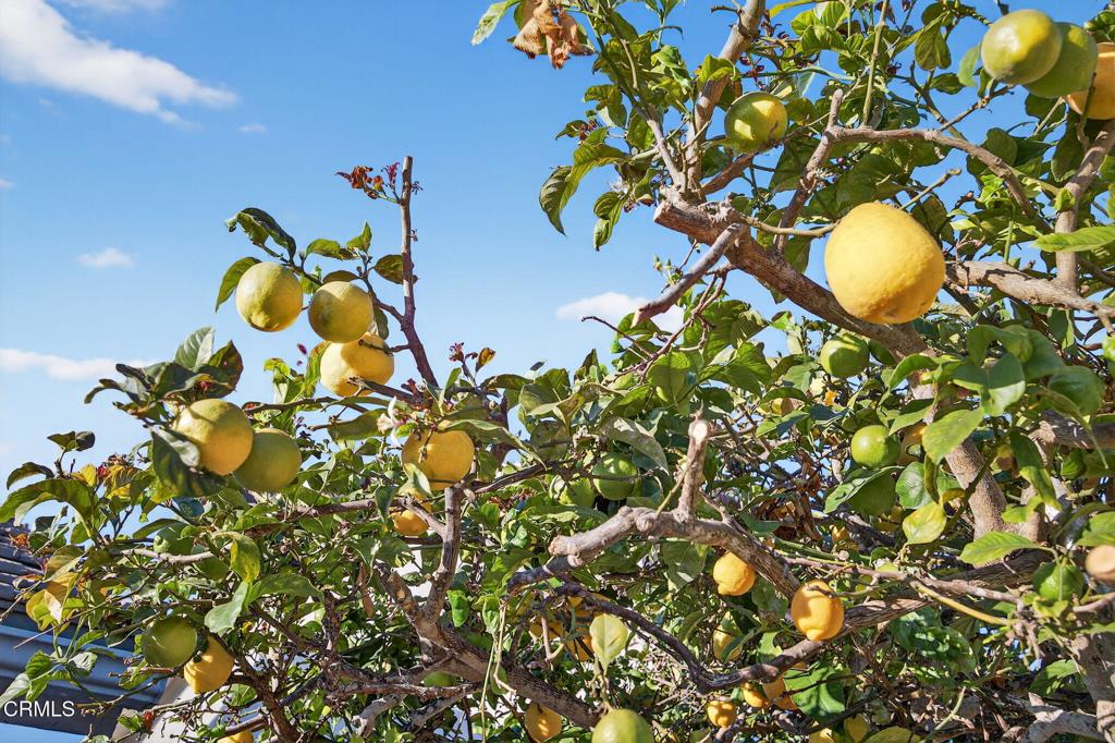 1236 Seafarer Street