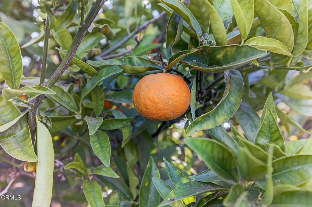 1236 Seafarer Street