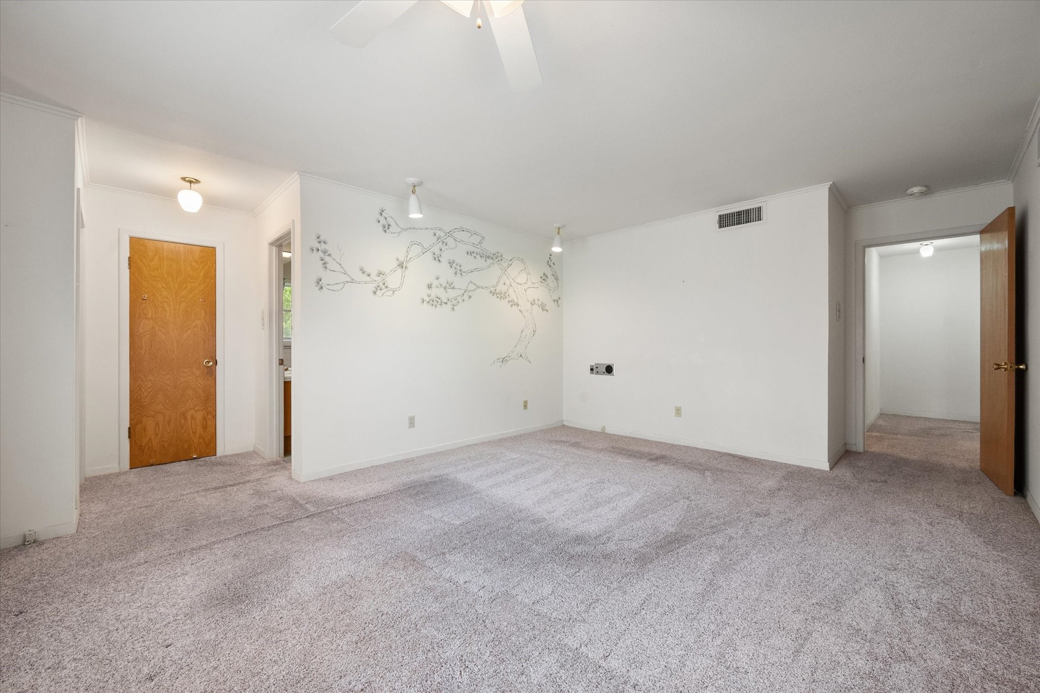 1605 Cienegas Circle
