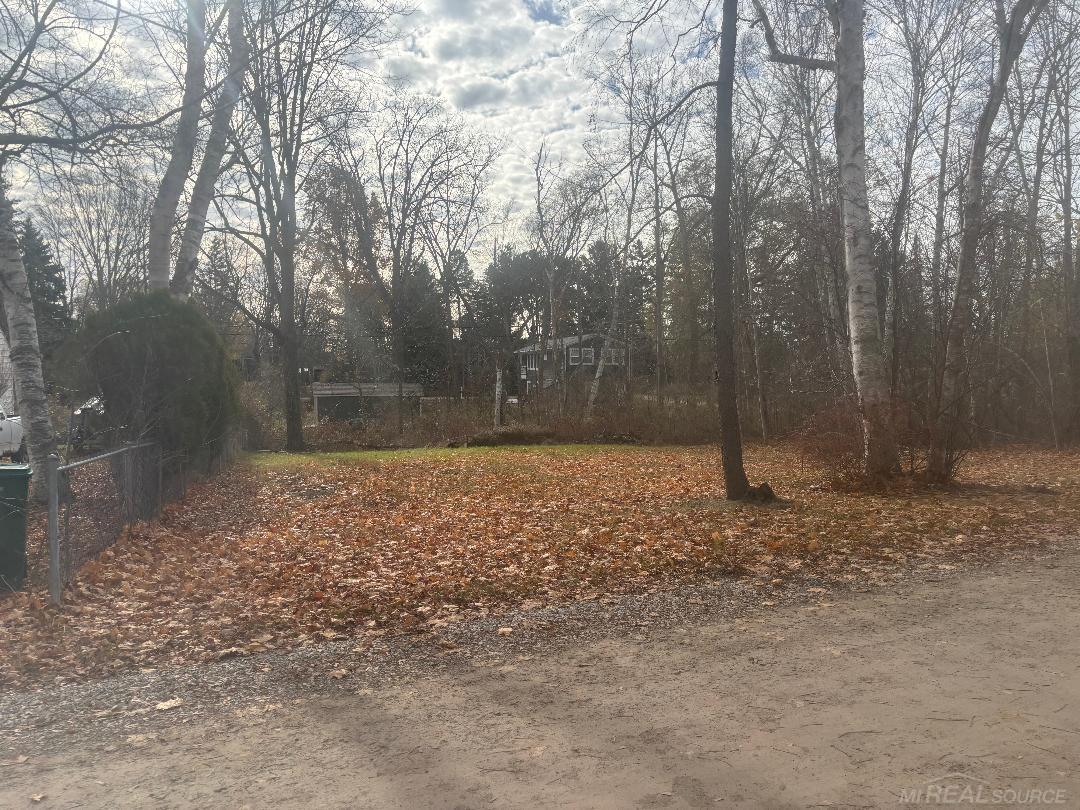 Wooded property lot with fallen leaves, bare trees, and a small building partly visible in the distance.