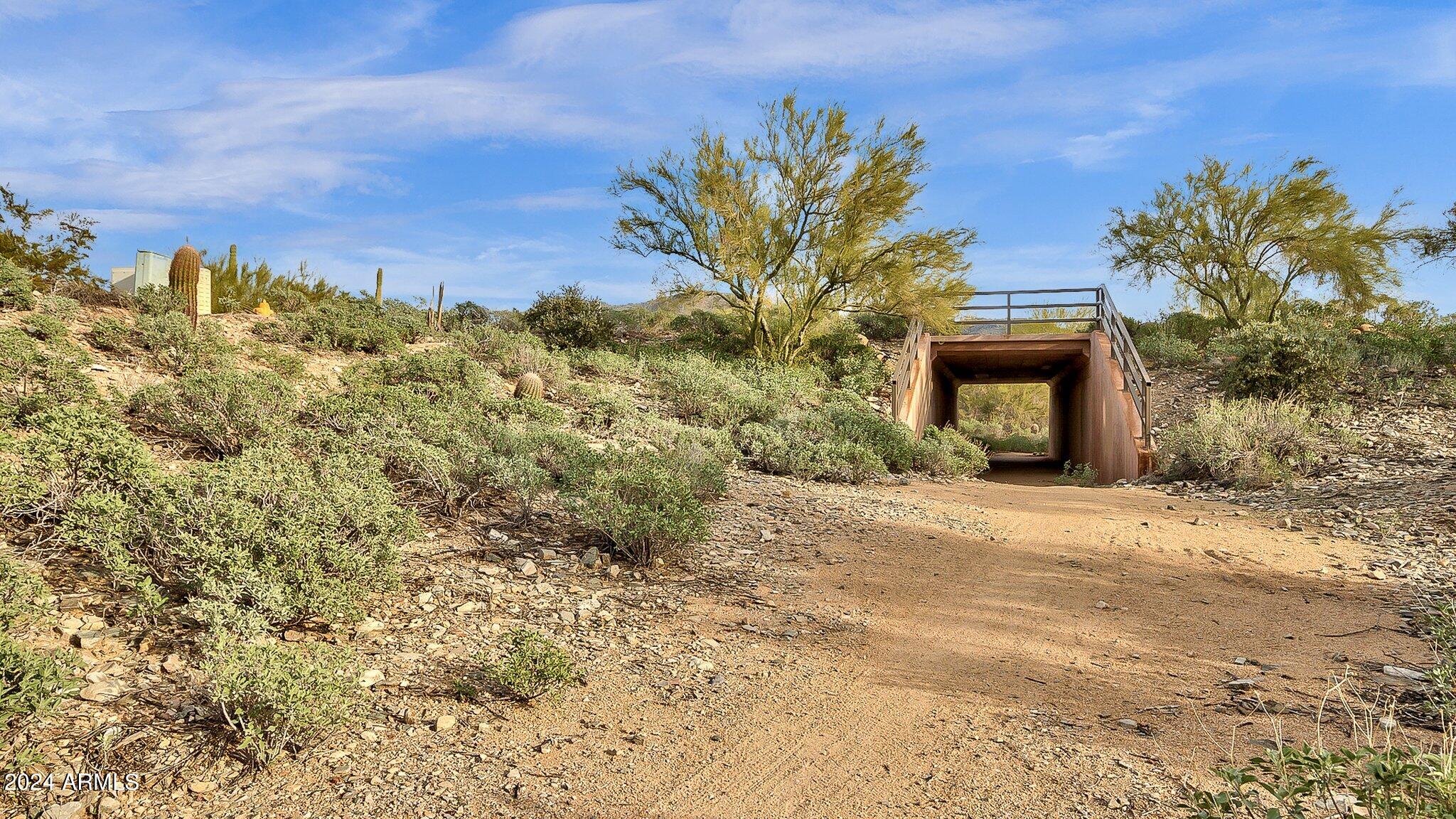 10448 E Texas Sage Lane