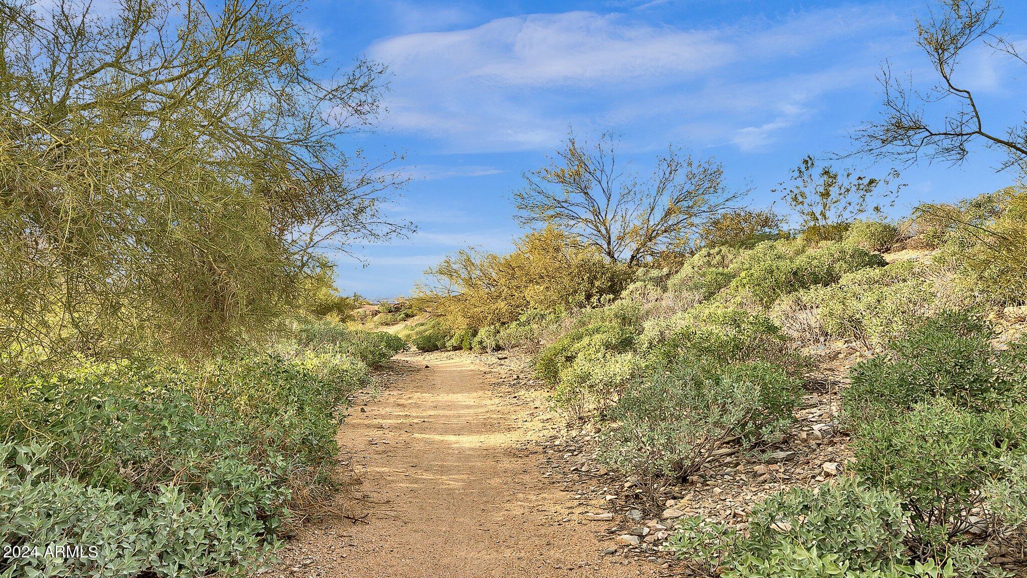 10448 E Texas Sage Lane