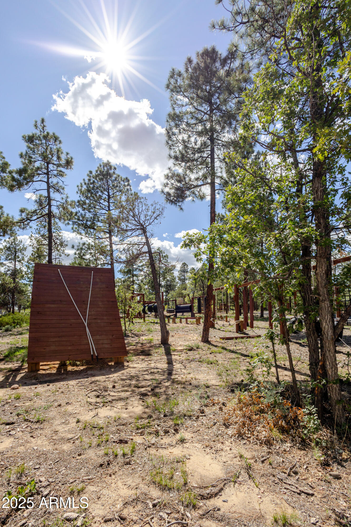 6385 W WHITE MOUNTAIN Boulevard