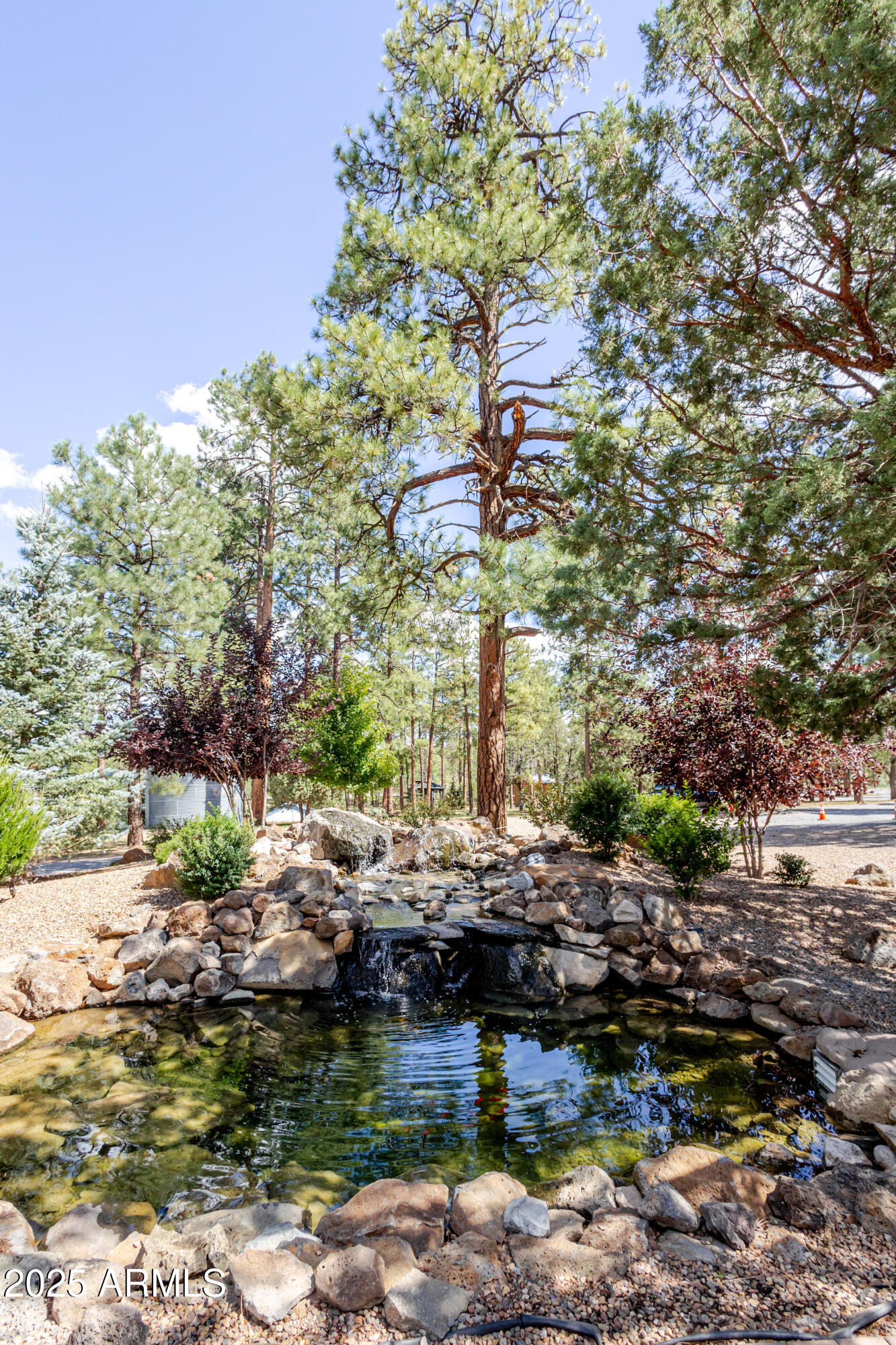 6385 W WHITE MOUNTAIN Boulevard